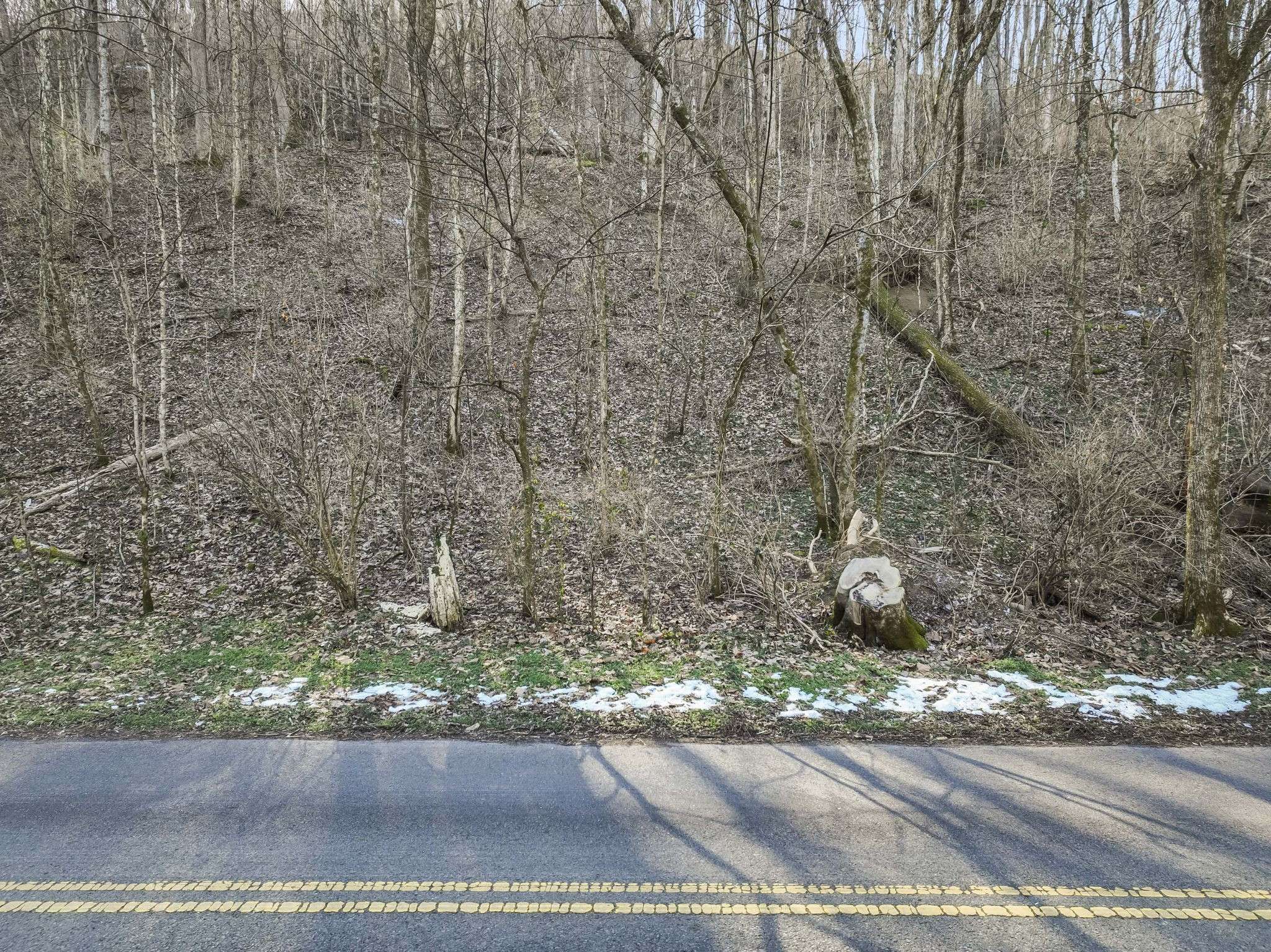 Whites Creek, TN 37189,0 Dry Fork Rd