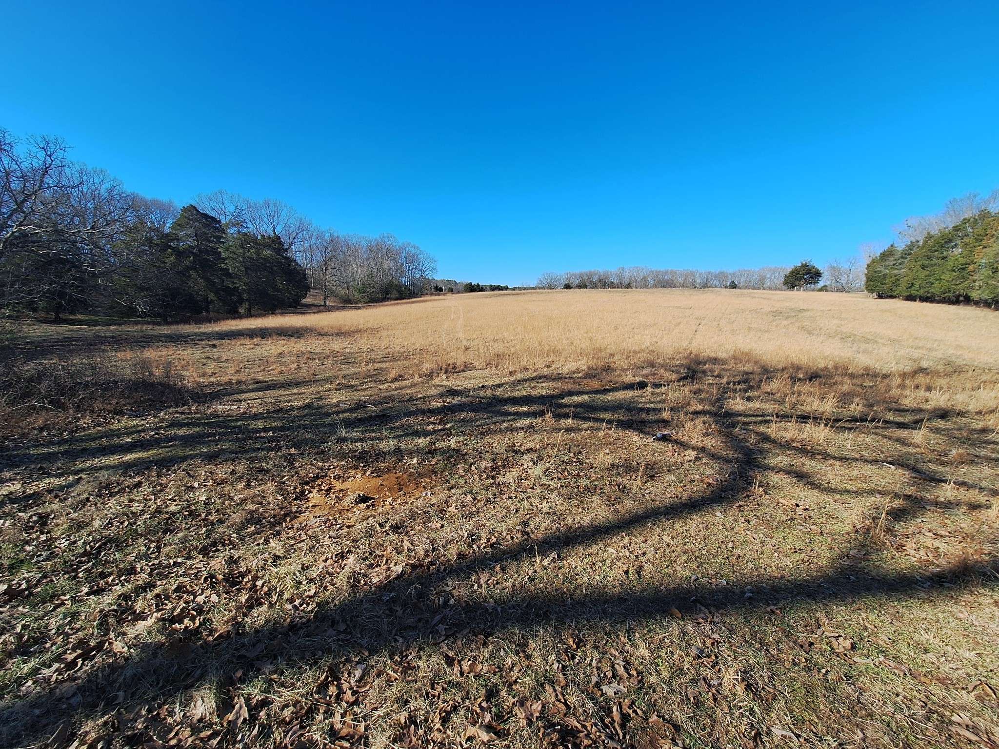 Bruceton, TN 38317,1 Maytown Road