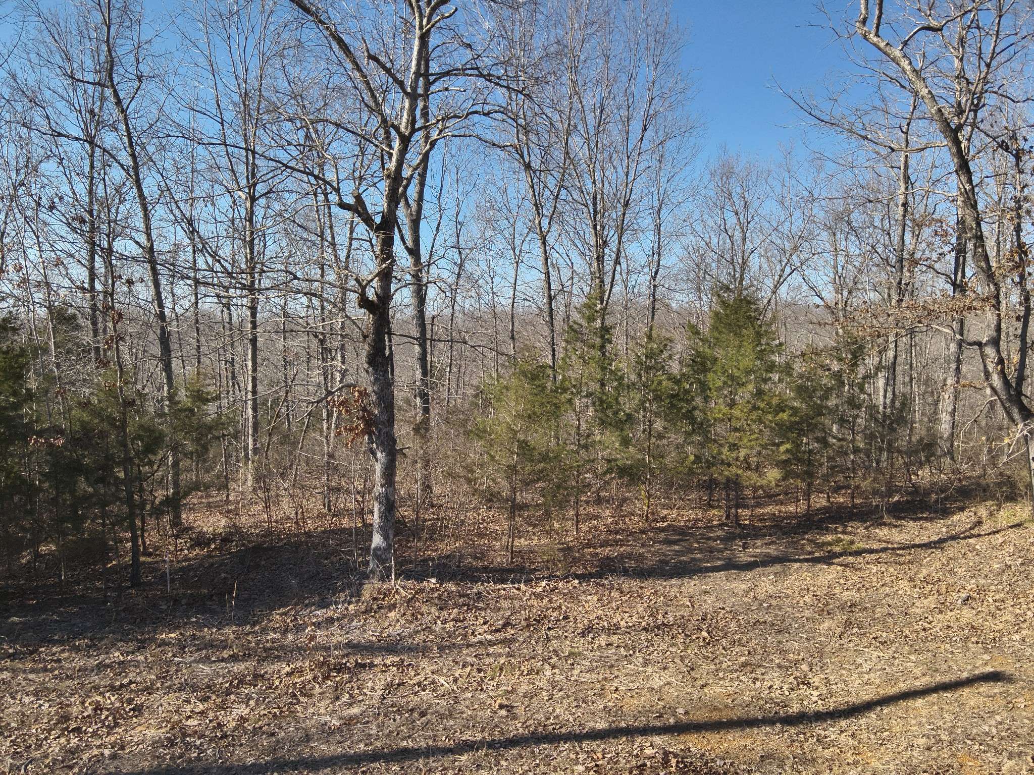 Linden, TN 37096,146 Wyatt Ln