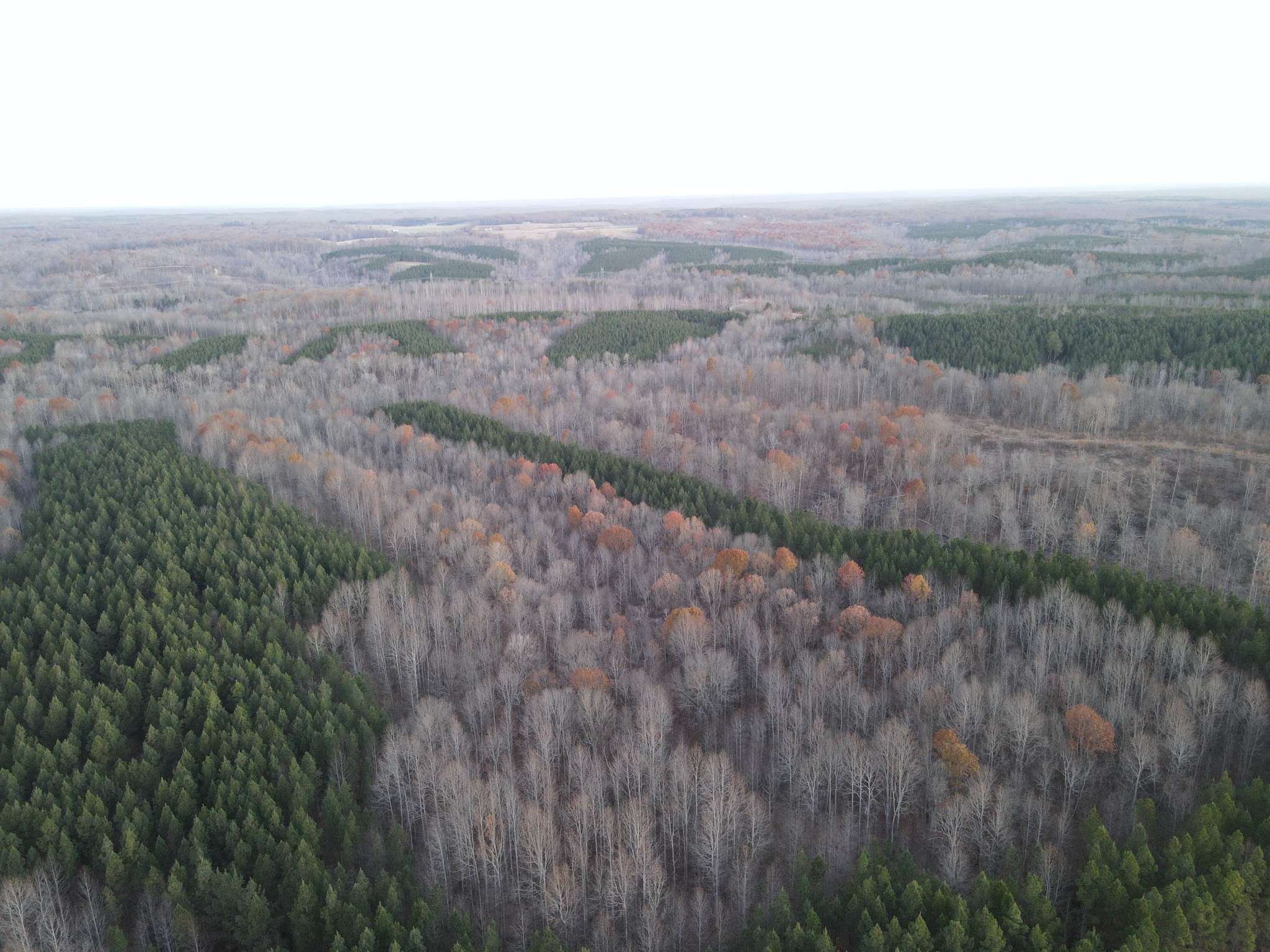 Stewart, TN 37175,0 Hurricane Creek Road