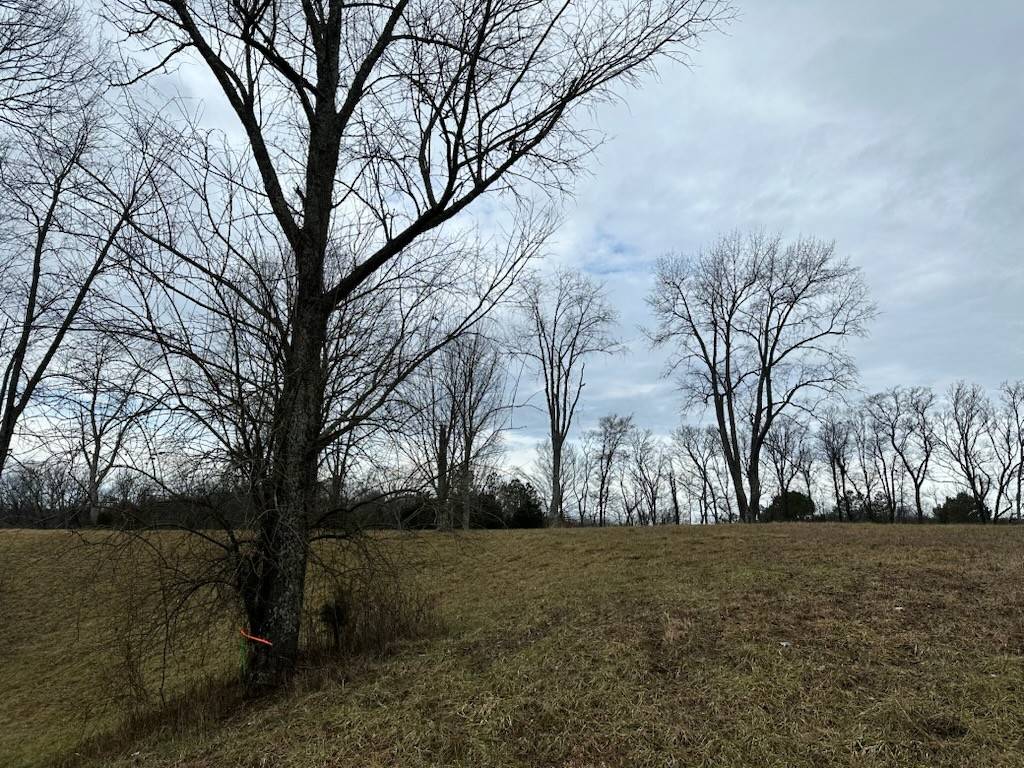 Pulaski, TN 38478,0 Viewpoint Valley Drive