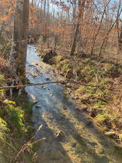 Waynesboro, TN 38485,155 Burns Hollow Rd