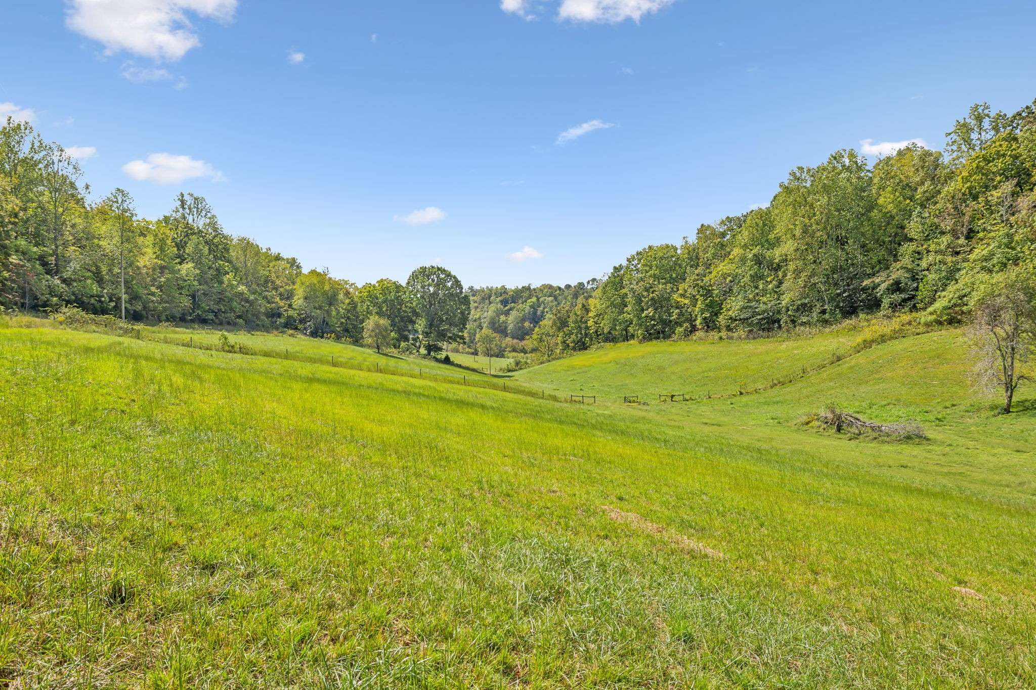 Pulaski, TN 38478,6 Young Rd