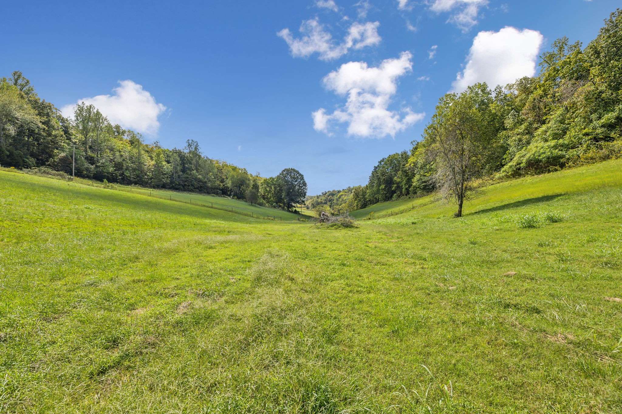 Pulaski, TN 38478,6 Young Rd