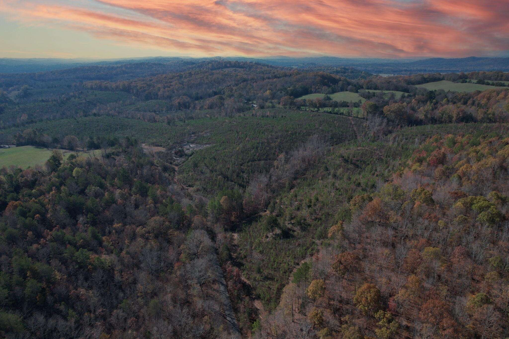 Decatur, TN 37322,0 Big Sewee Lot 3 Road