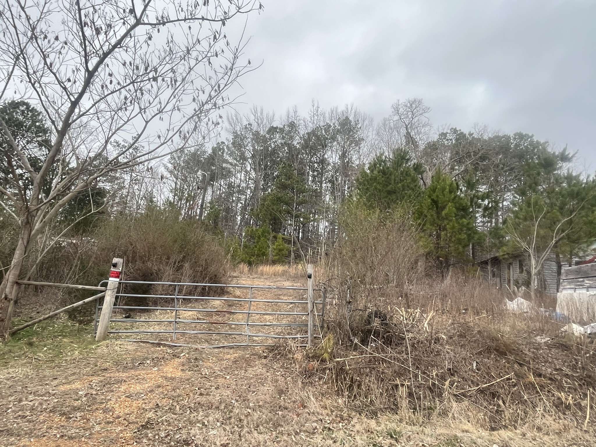 Scotts Hill, TN 38374,2574 Coy Johnson Rd