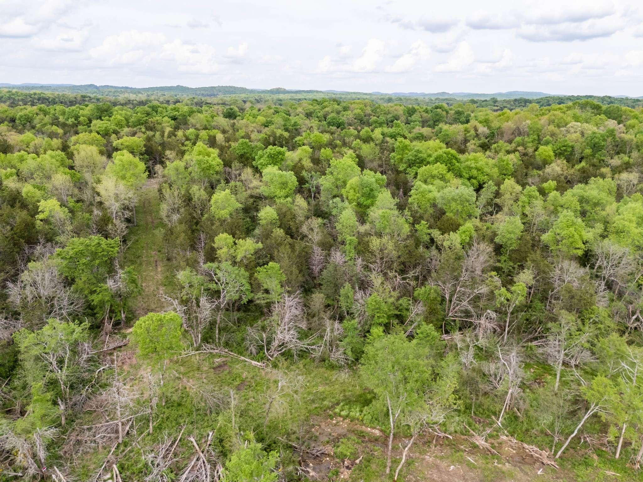 Spring Hill, TN 37174,0 Kedron Road Tract 1