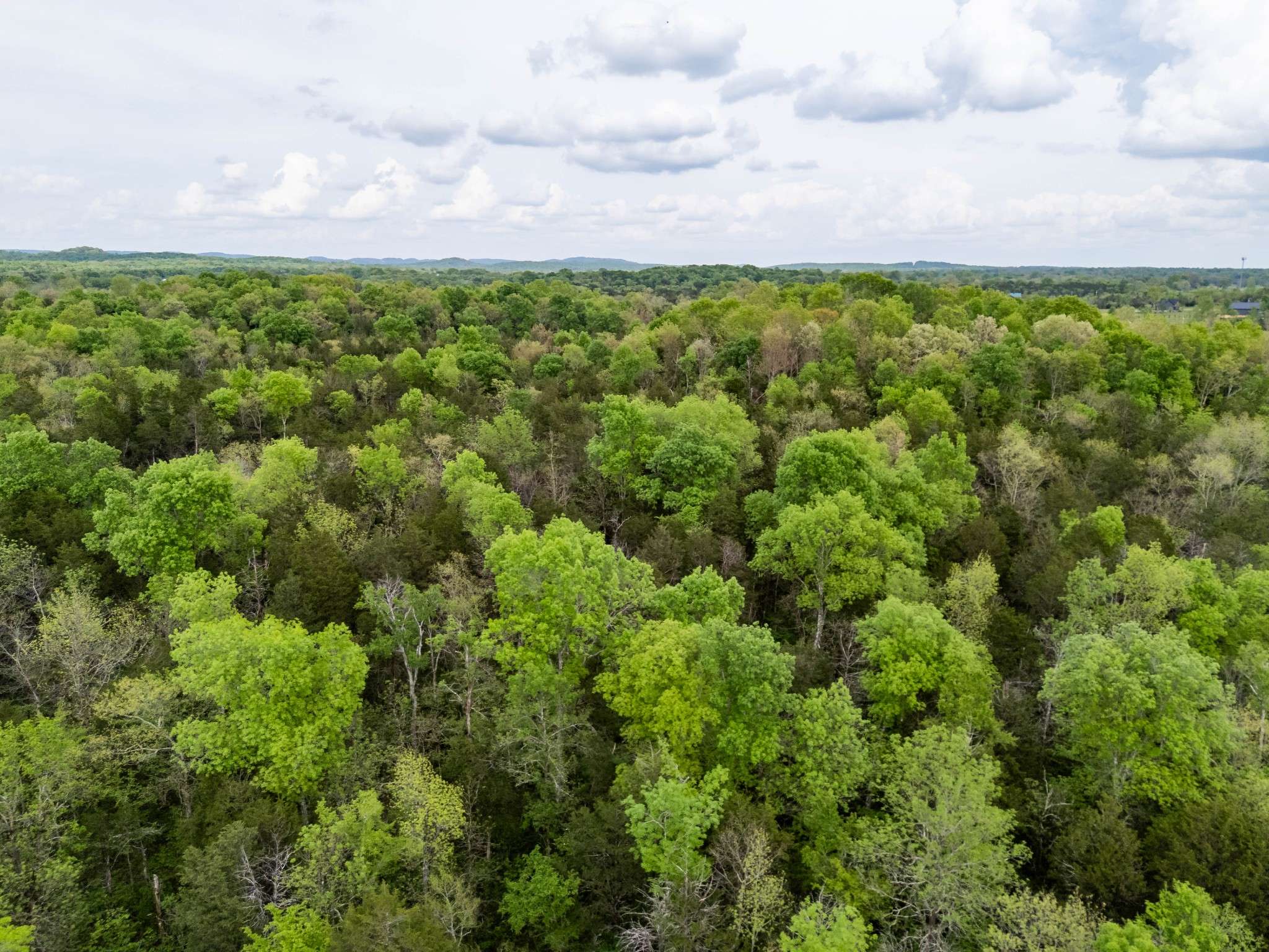 Spring Hill, TN 37174,0 Kedron Road Tract 1 and 2