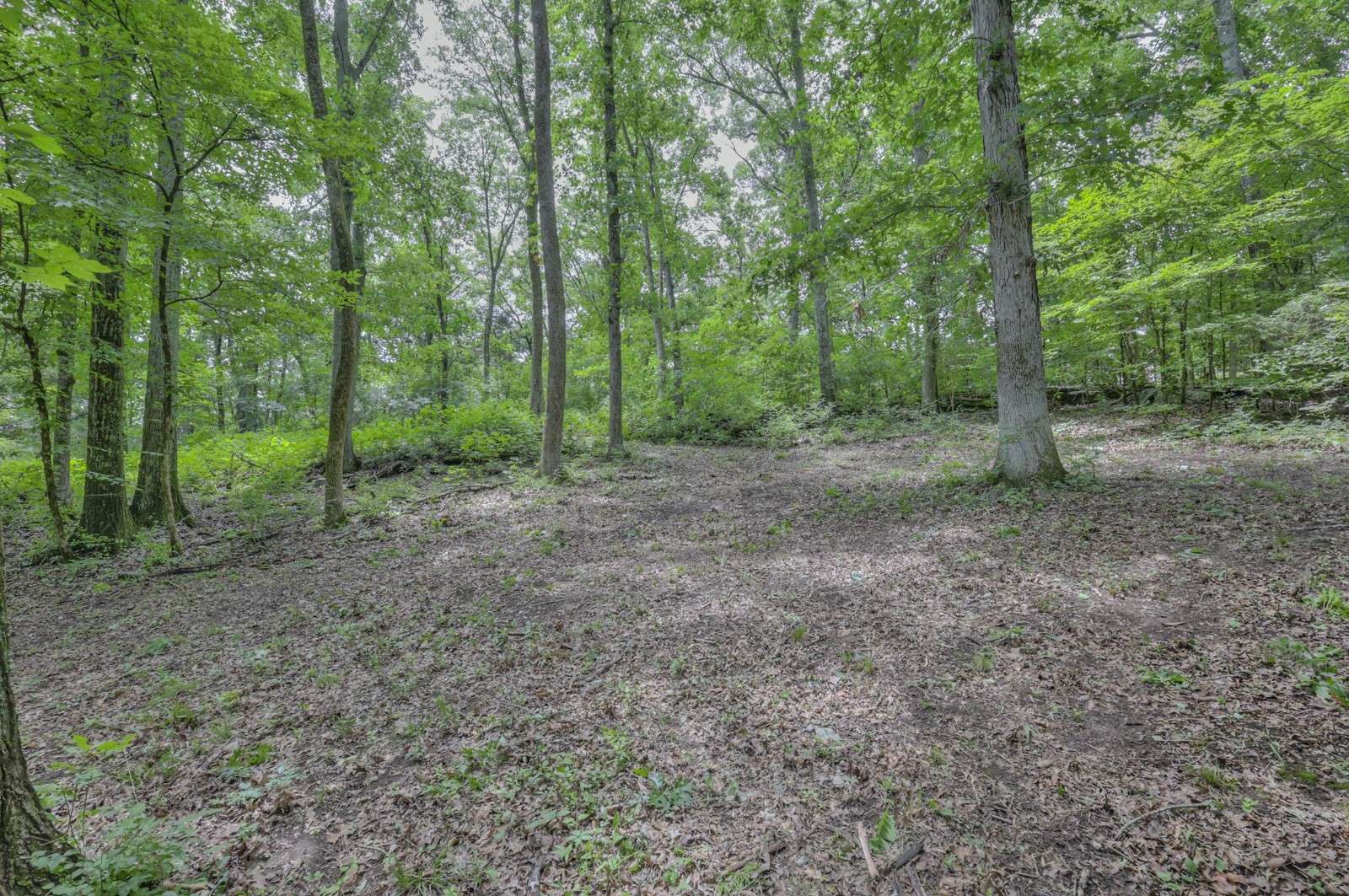 Brentwood, TN 37027,915 Bluff Rd