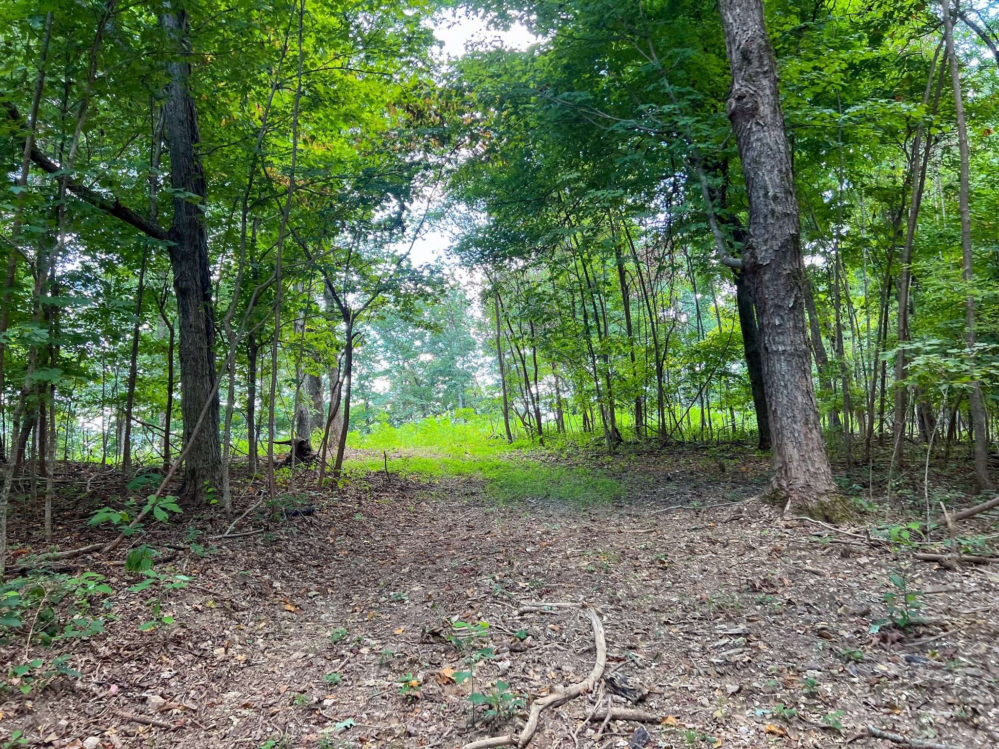 Christiana, TN 37037,7659 Burks Rd
