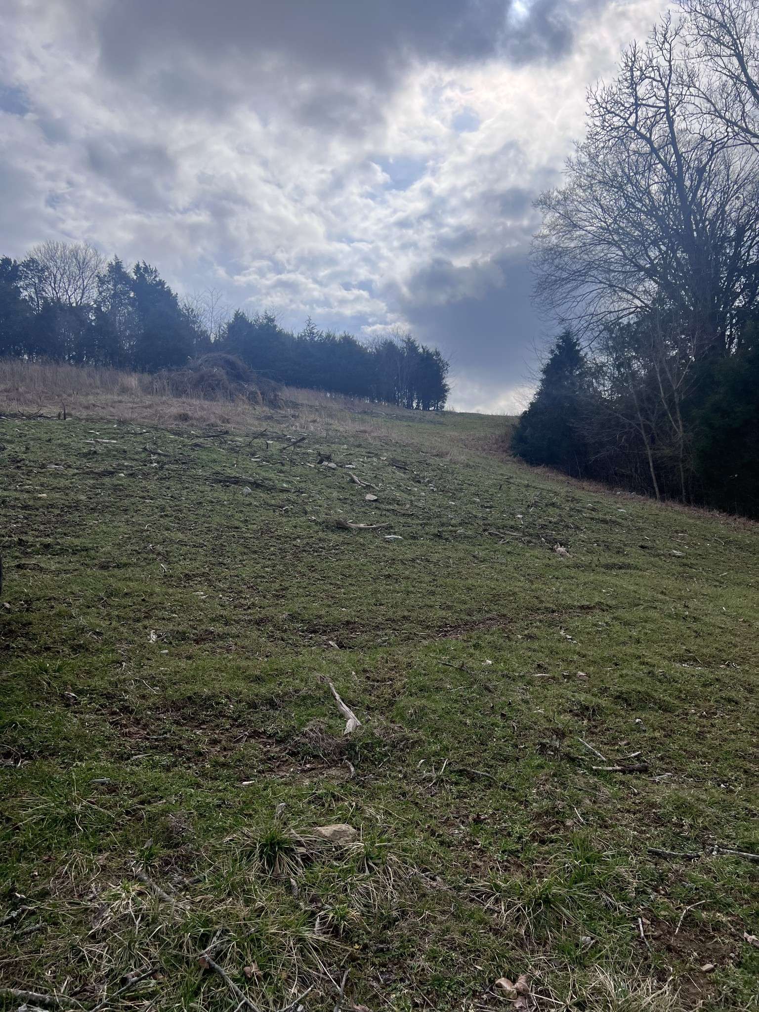 Liberty, TN 37095,0 Oakley Rd
