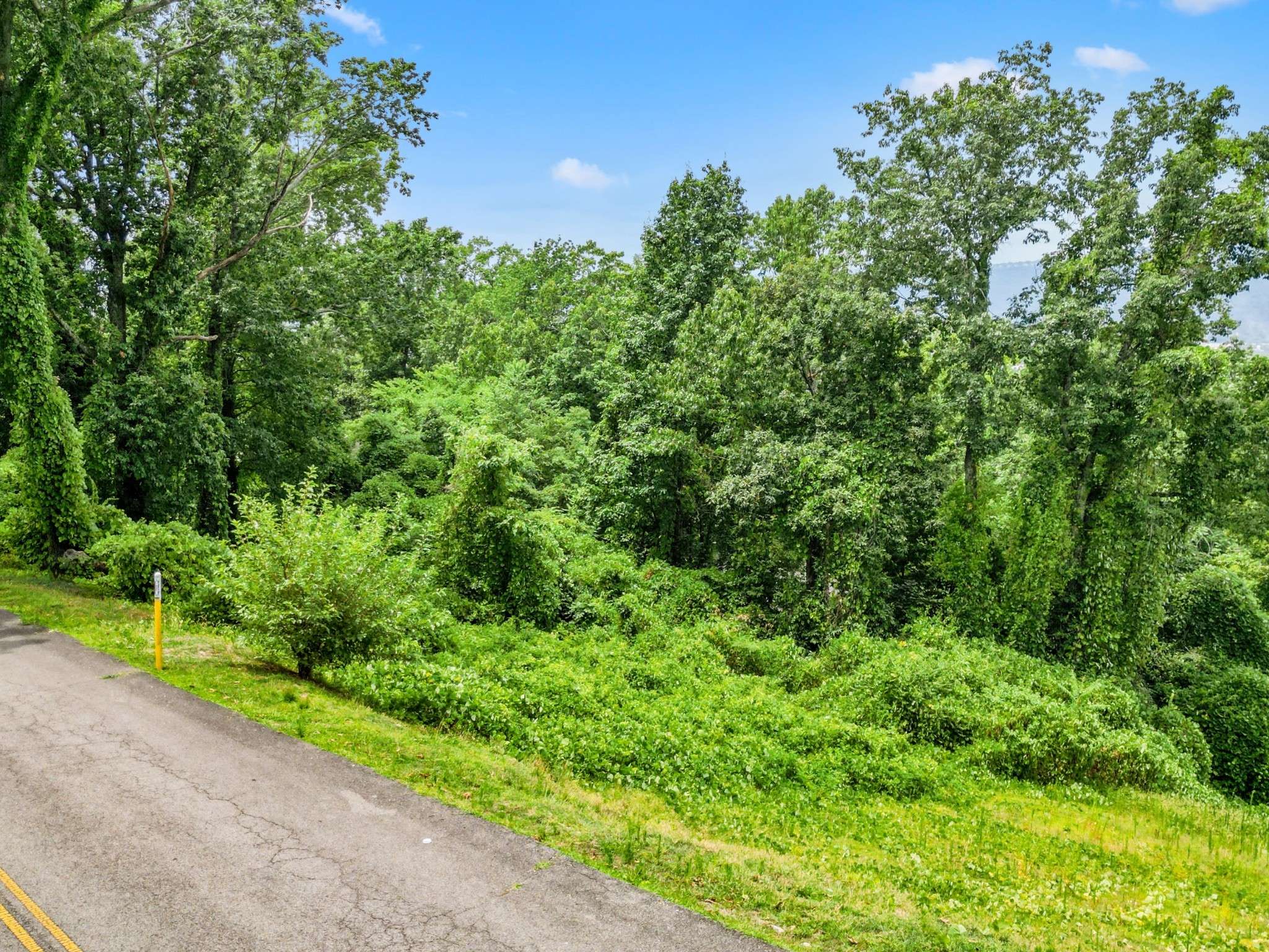 Chattanooga, TN 37404,557 W Shadowlawn Dr