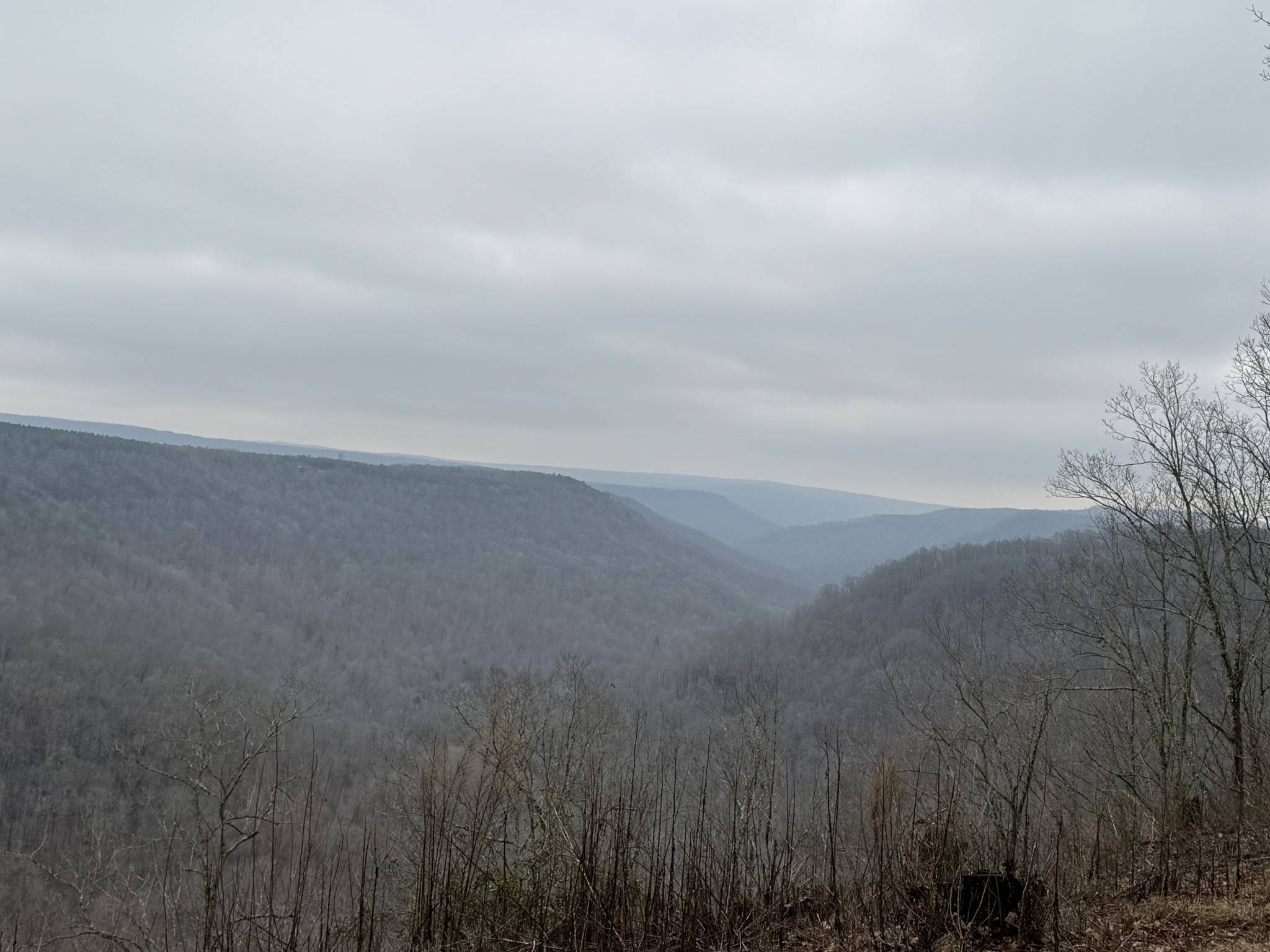 Tracy City, TN 37387,0 Johnnys Way