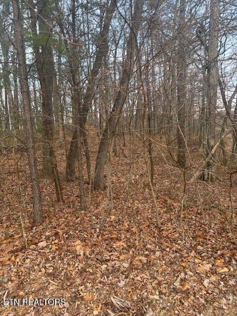 Monterey, TN 38574,0 Davidson Drive