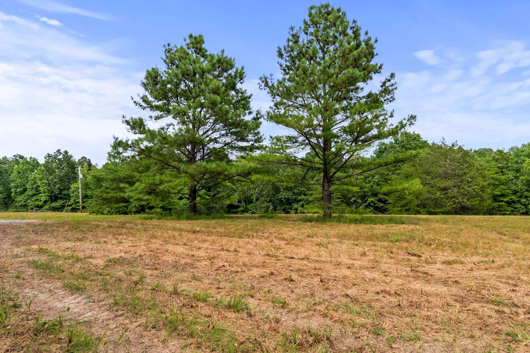 Lyles, TN 37098,0 Buck Litton Rd