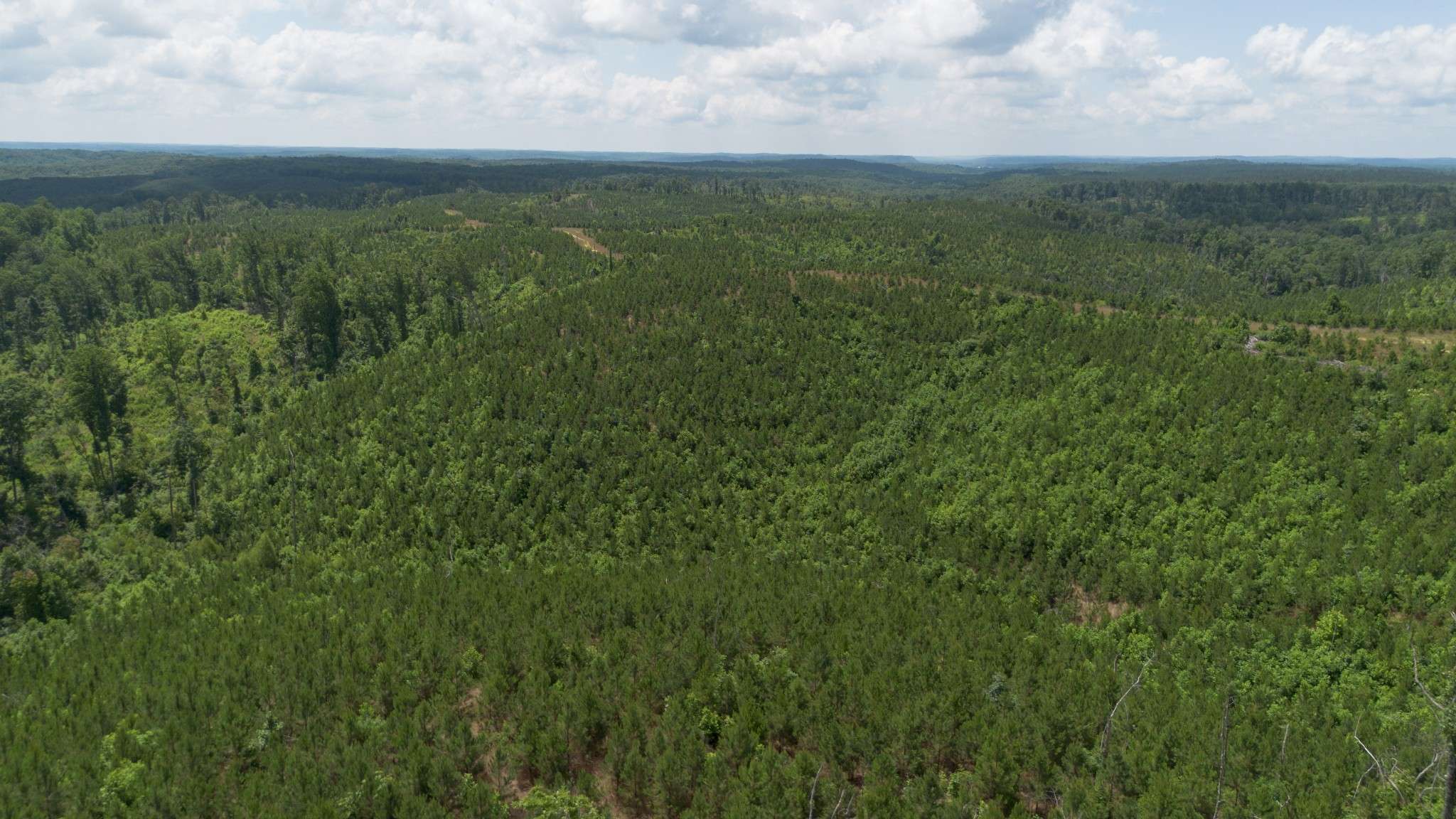 Sugar Tree, TN 38380,0 Low Gap Road