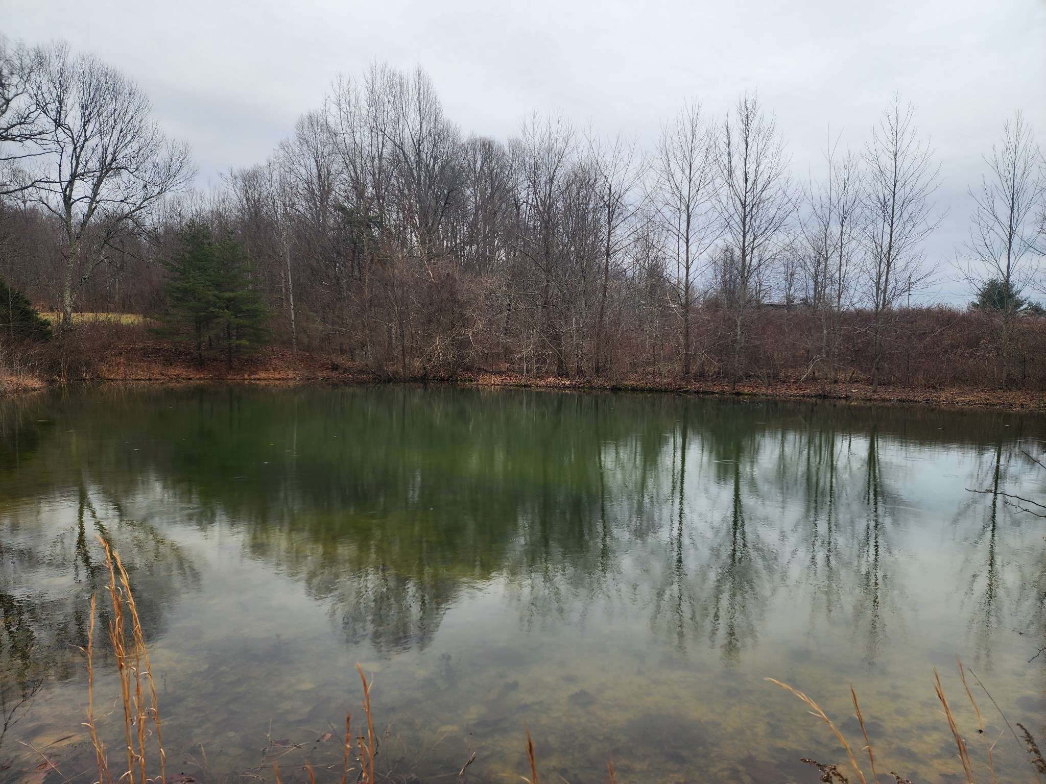 Crossville, TN 38571,0 Bud Tanner Rd