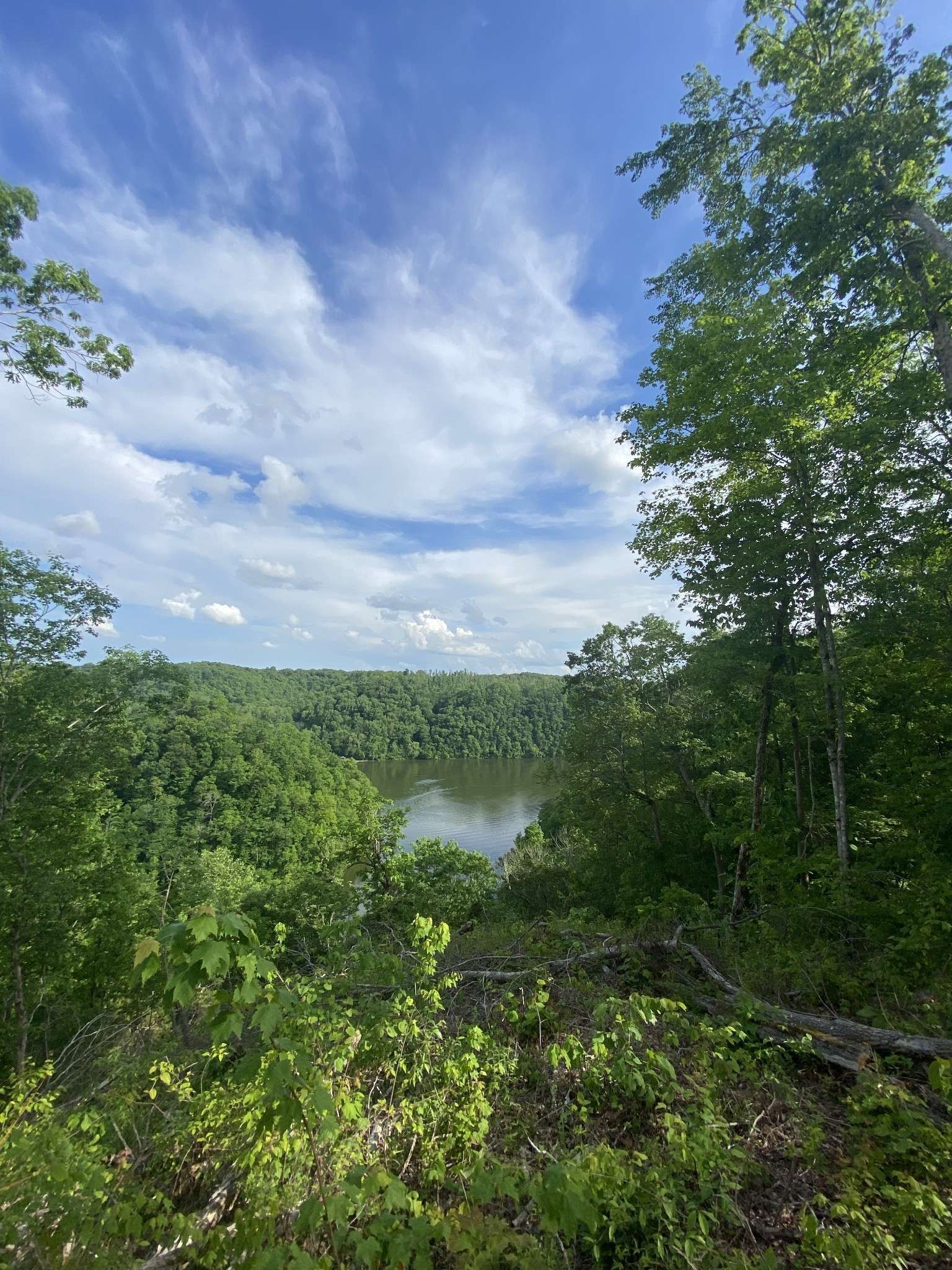 Baxter, TN 38544,5881 Canoe Way