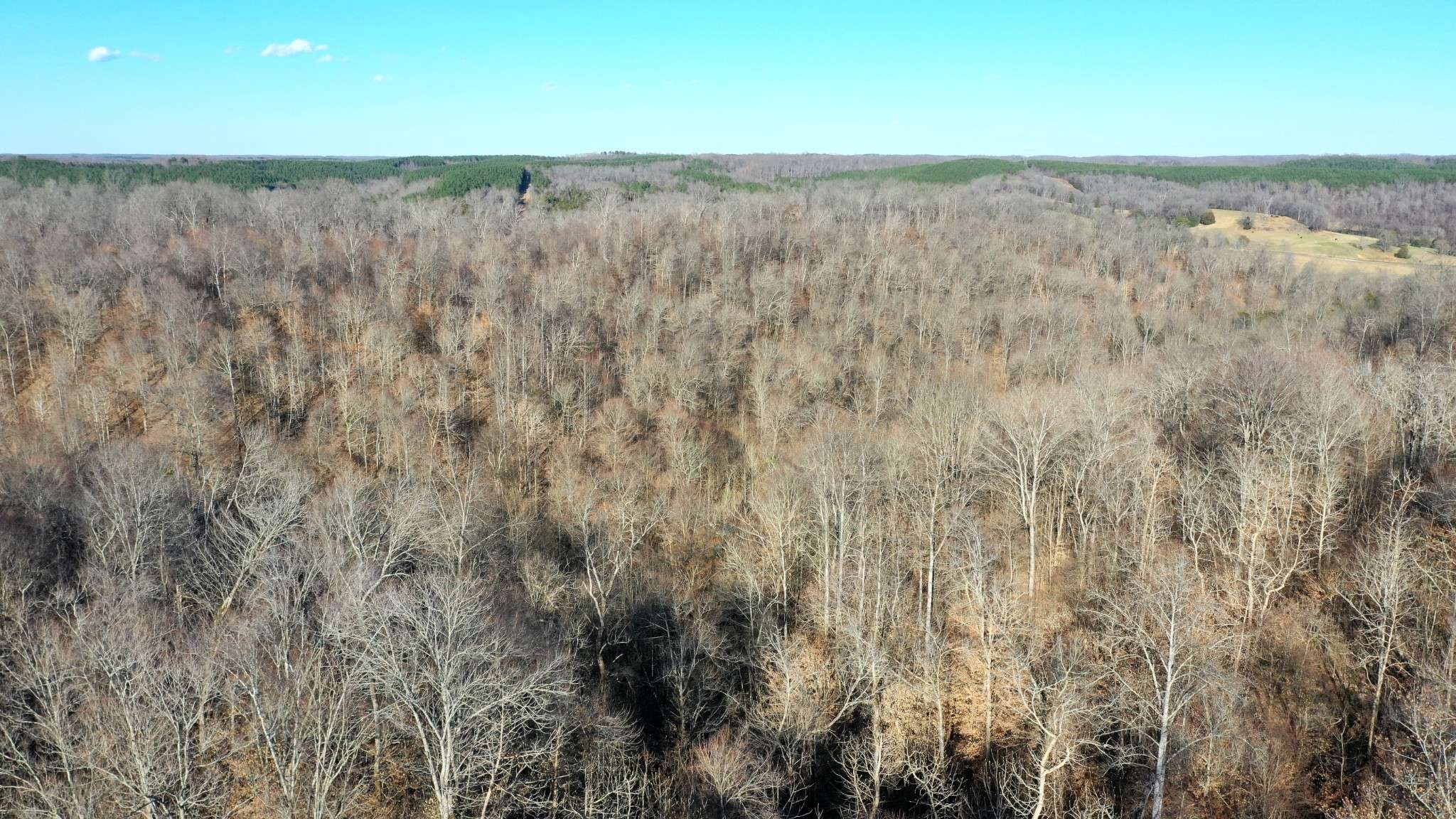 Westpoint, TN 38486,0 Hughes Rd