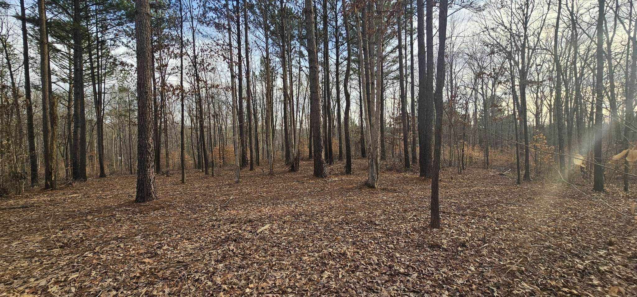 Stewart, TN 37175,171 Old Mathis Hollow Ln