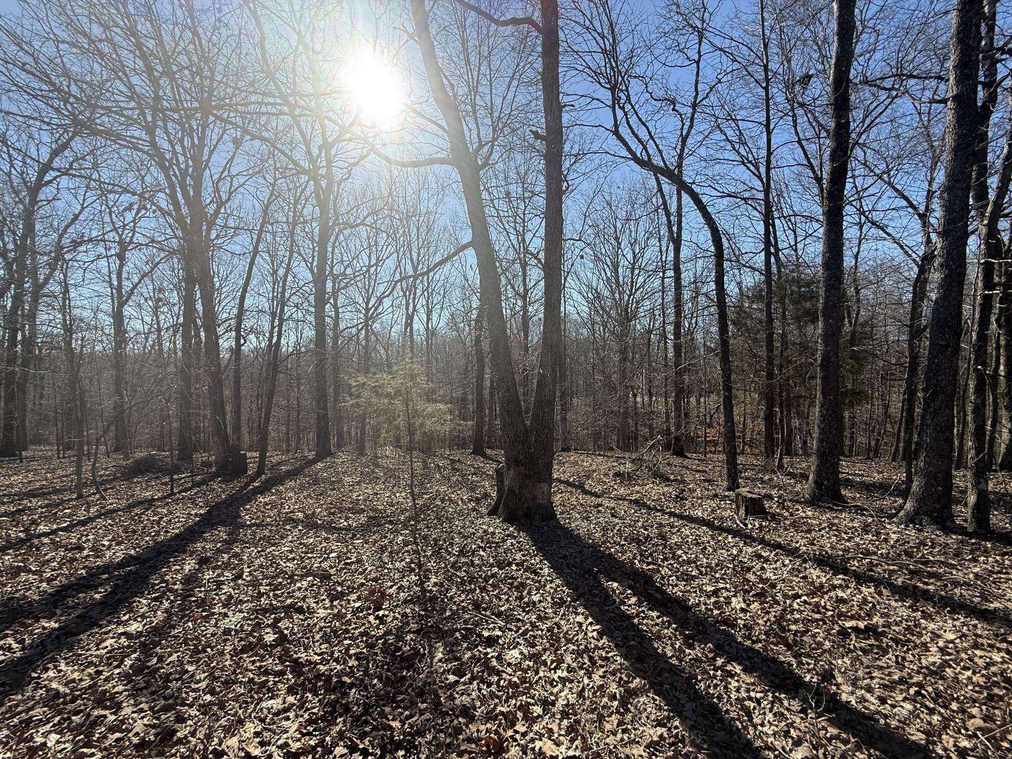 Indian Mound, TN 37079,30 Backwoods Estates