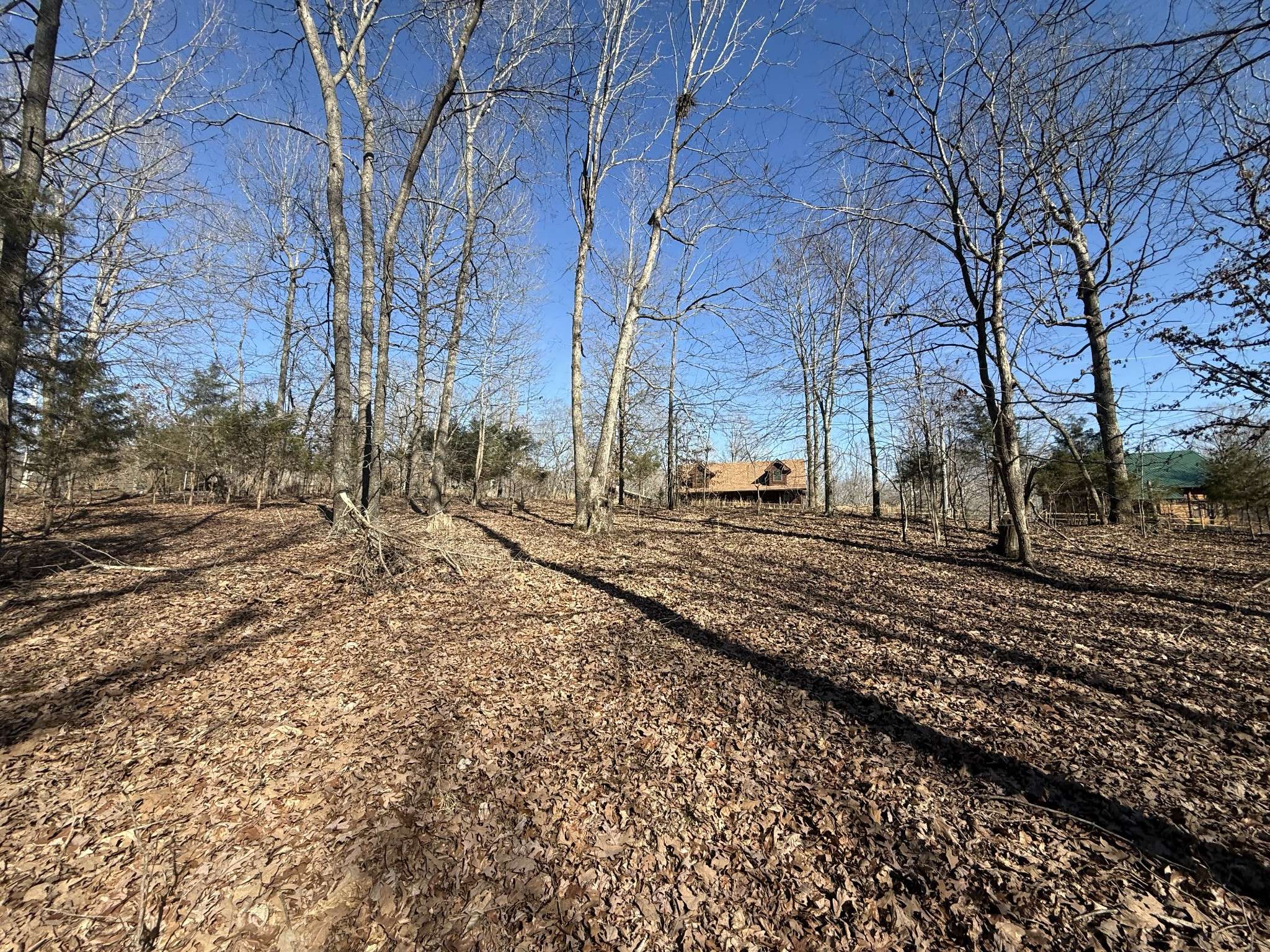 Indian Mound, TN 37079,30 Backwoods Estates