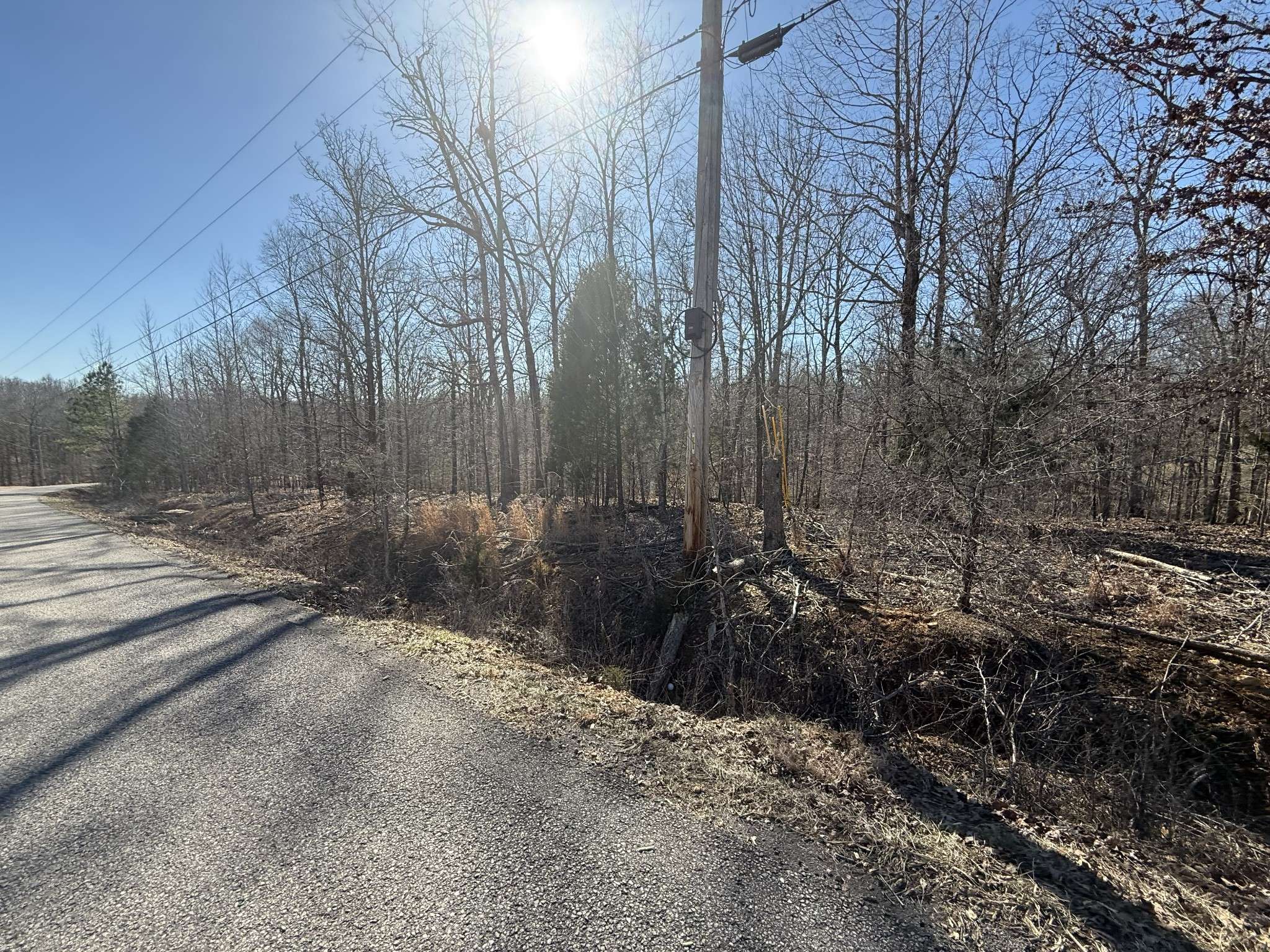 Indian Mound, TN 37079,29 Backwoods Estates
