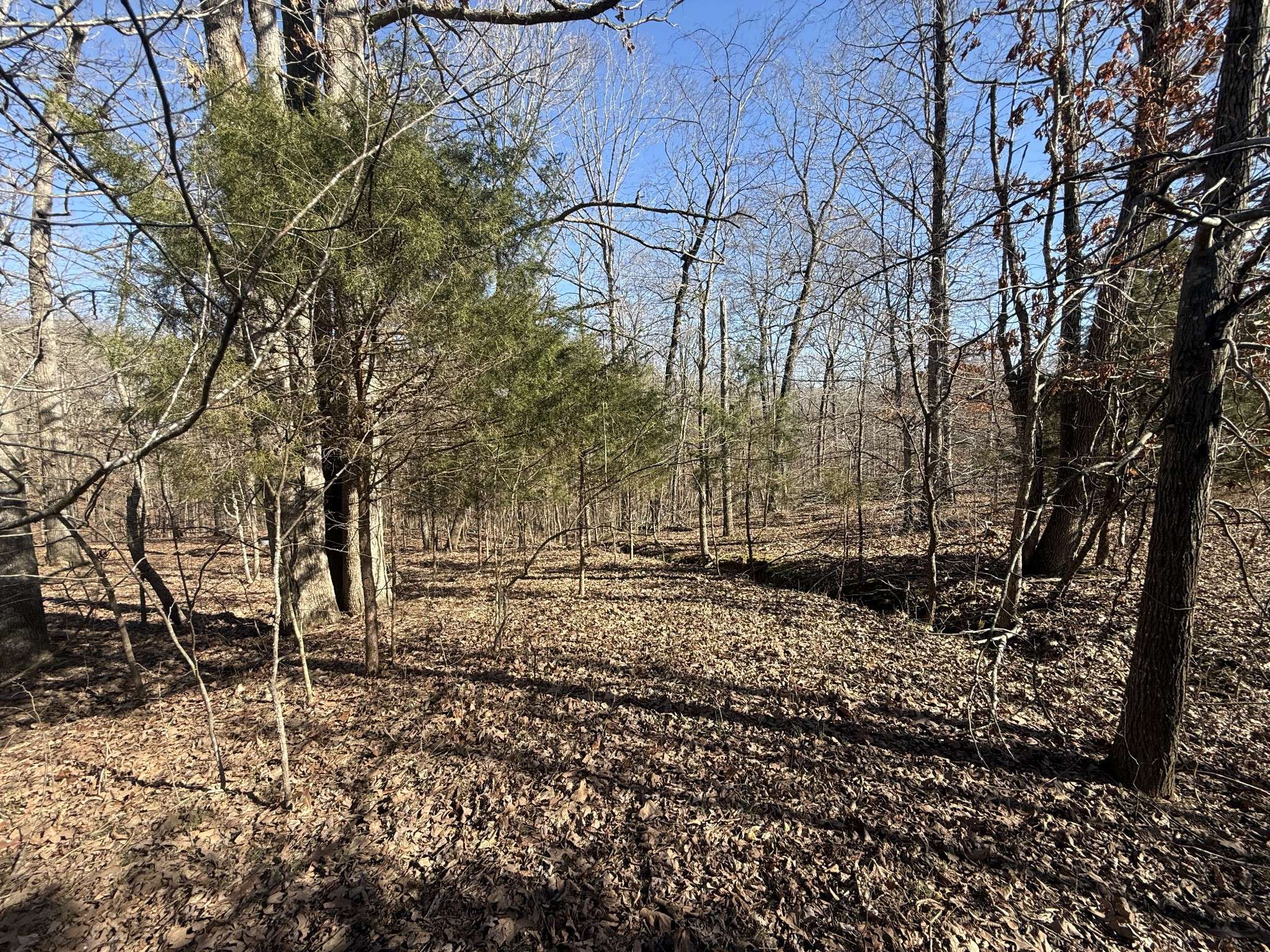 Indian Mound, TN 37079,20 Backwoods Estates