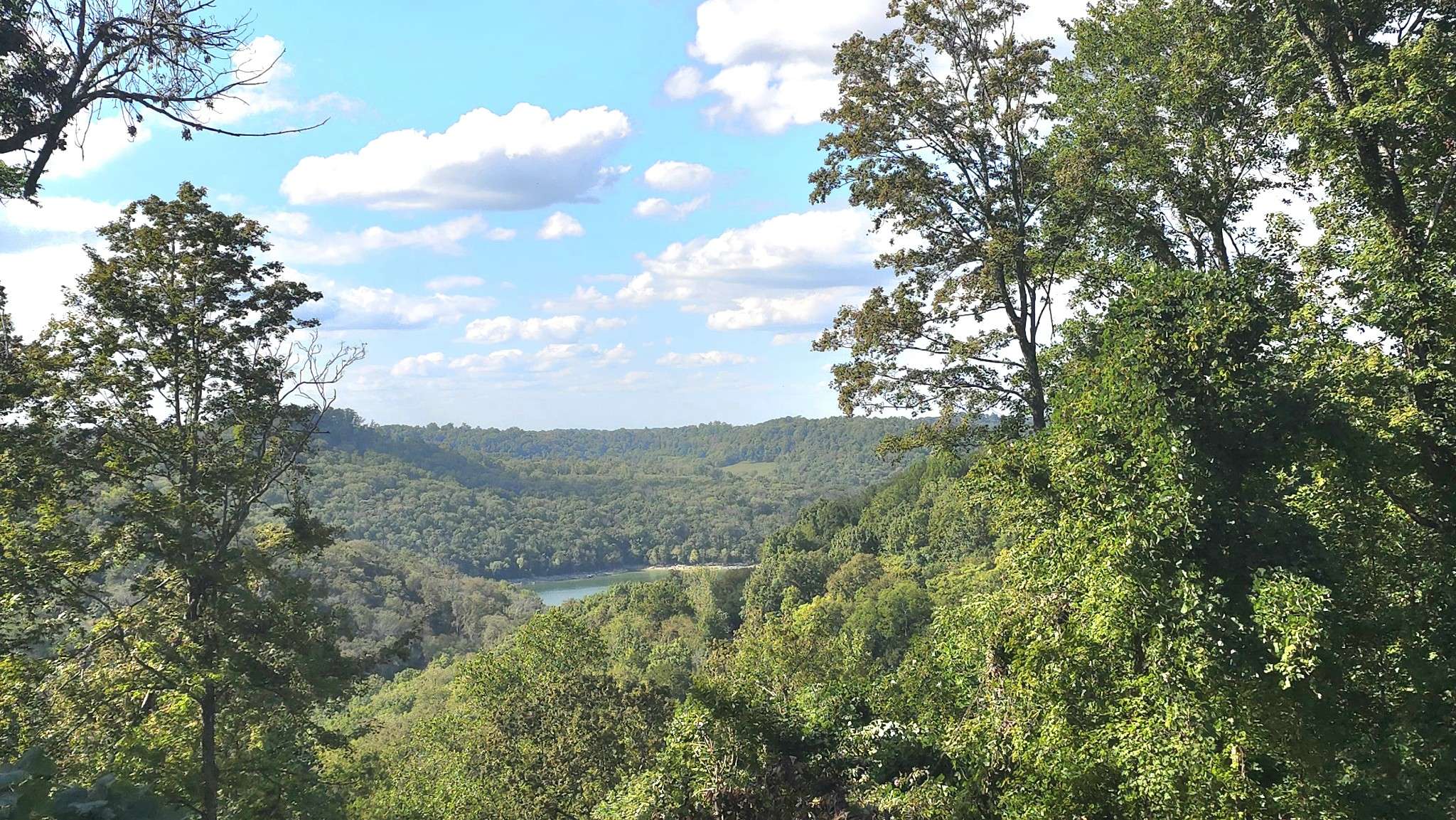 Smithville, TN 37166,0 Lola Dr