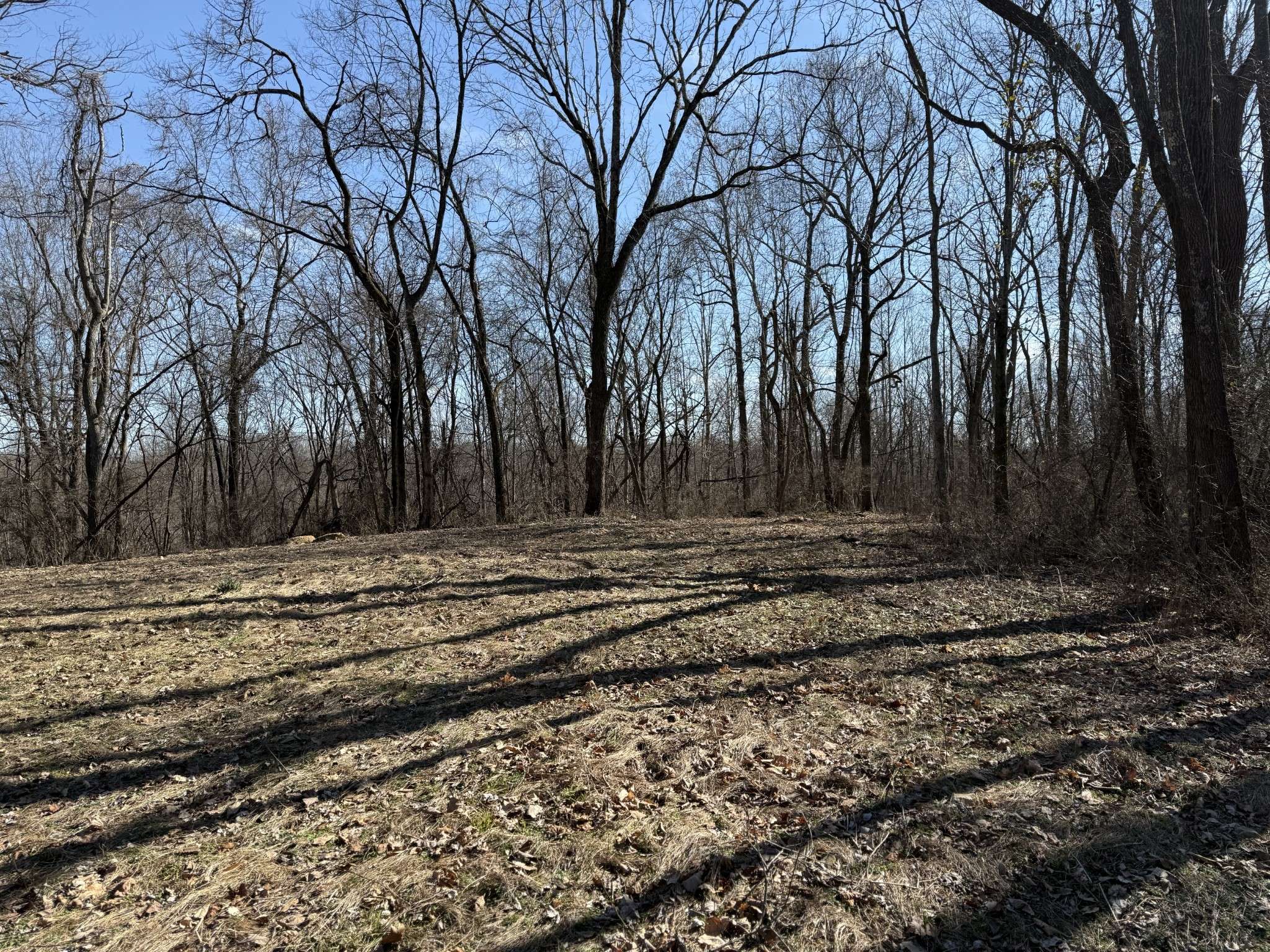 Nashville, TN 37221,0 Hester Beasley Rd