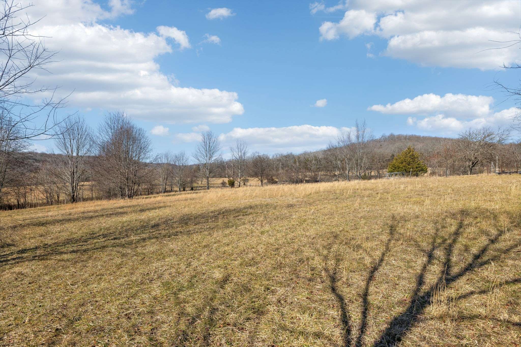 Nolensville, TN 37135,8001 Palmore Hollow Pvt Ln