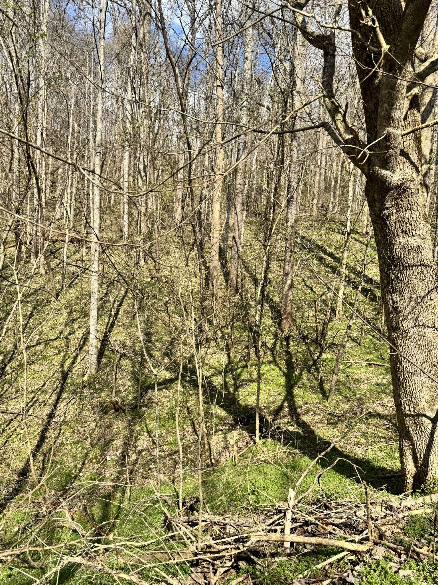 Smithville, TN 37166,0 Lake View Dr