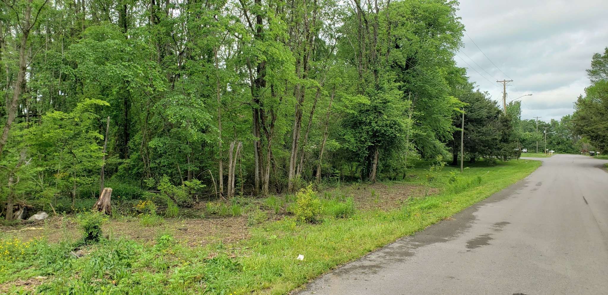 Murfreesboro, TN 37128,0 Caroline