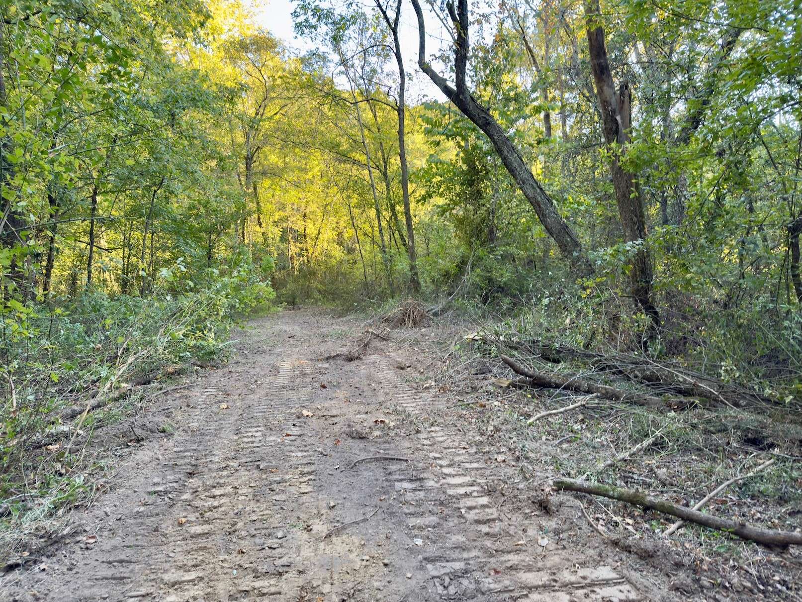 Woodbury, TN 37190,1 Gunter Hollow Rd