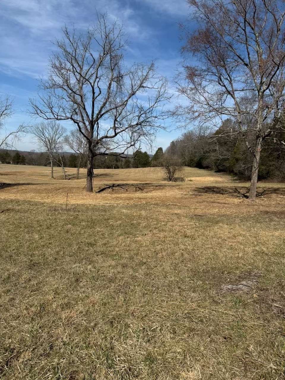 Lebanon, TN 37090,0 Cainsville Rd