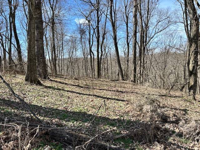 Smithville, TN 37166,83 Davidson Rd