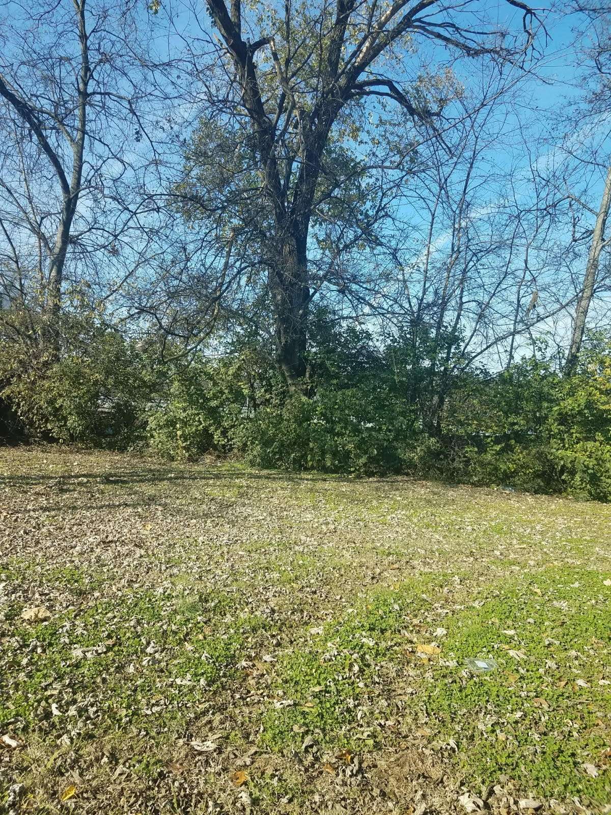 Nashville, TN 37208,1817 7th Ave #N