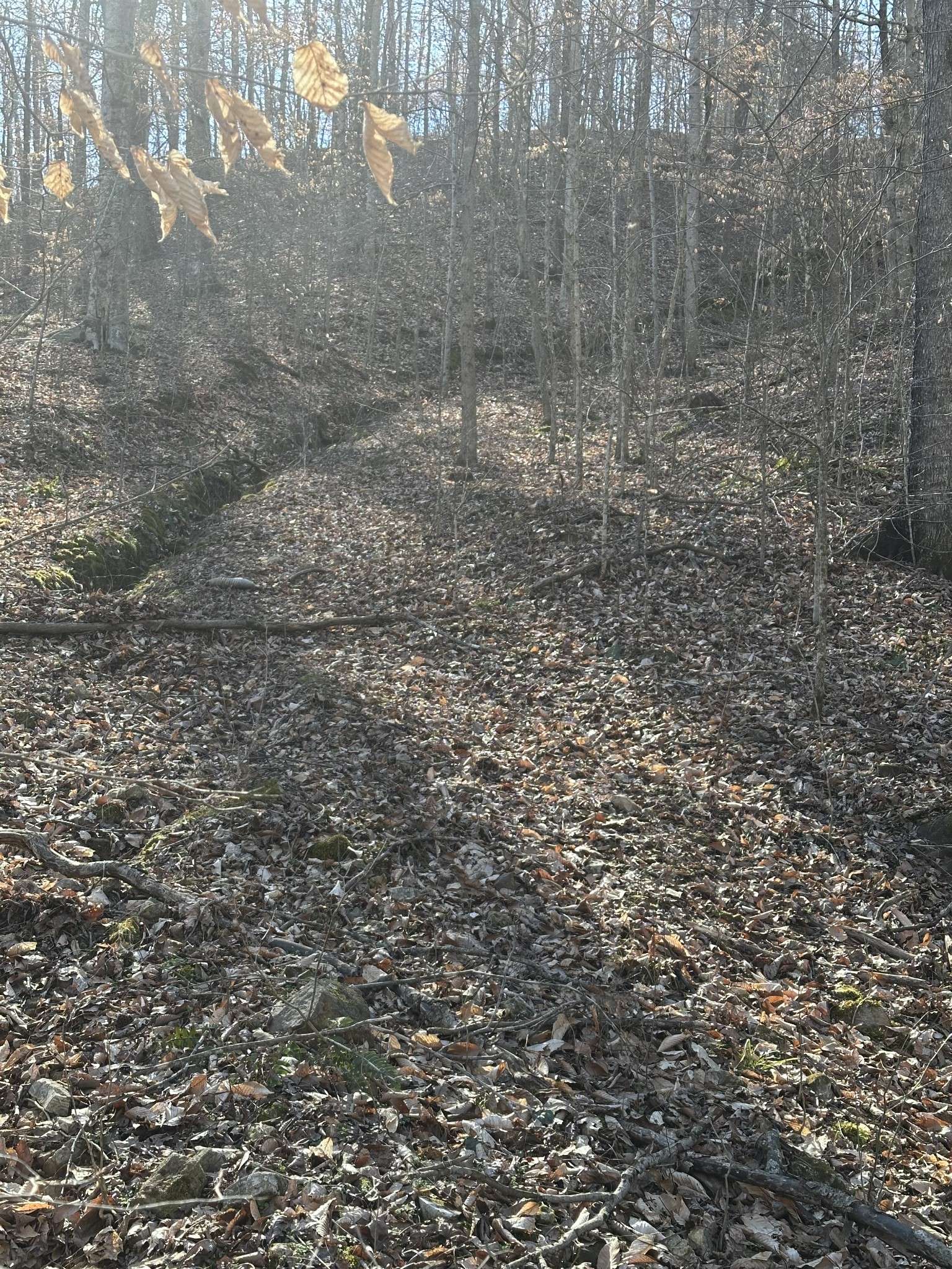 Duck River, TN 38454,0 Buck Branch Rd
