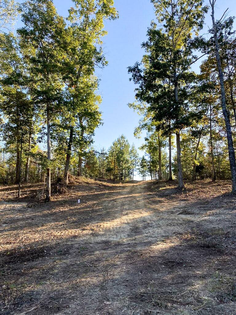 Dover, TN 37058,0 Wanut Grove Road