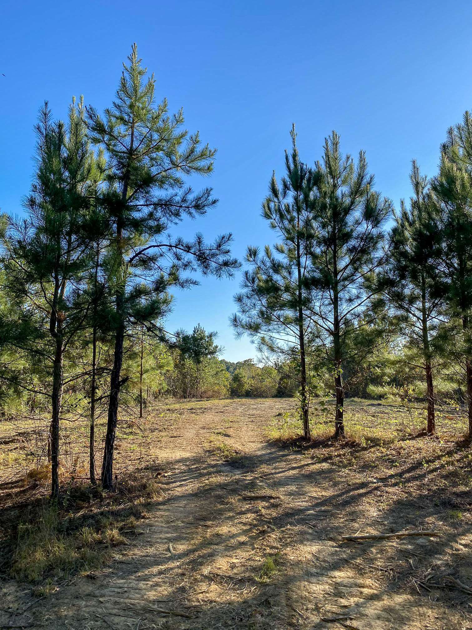 Dover, TN 37058,0 Wanut Grove Road