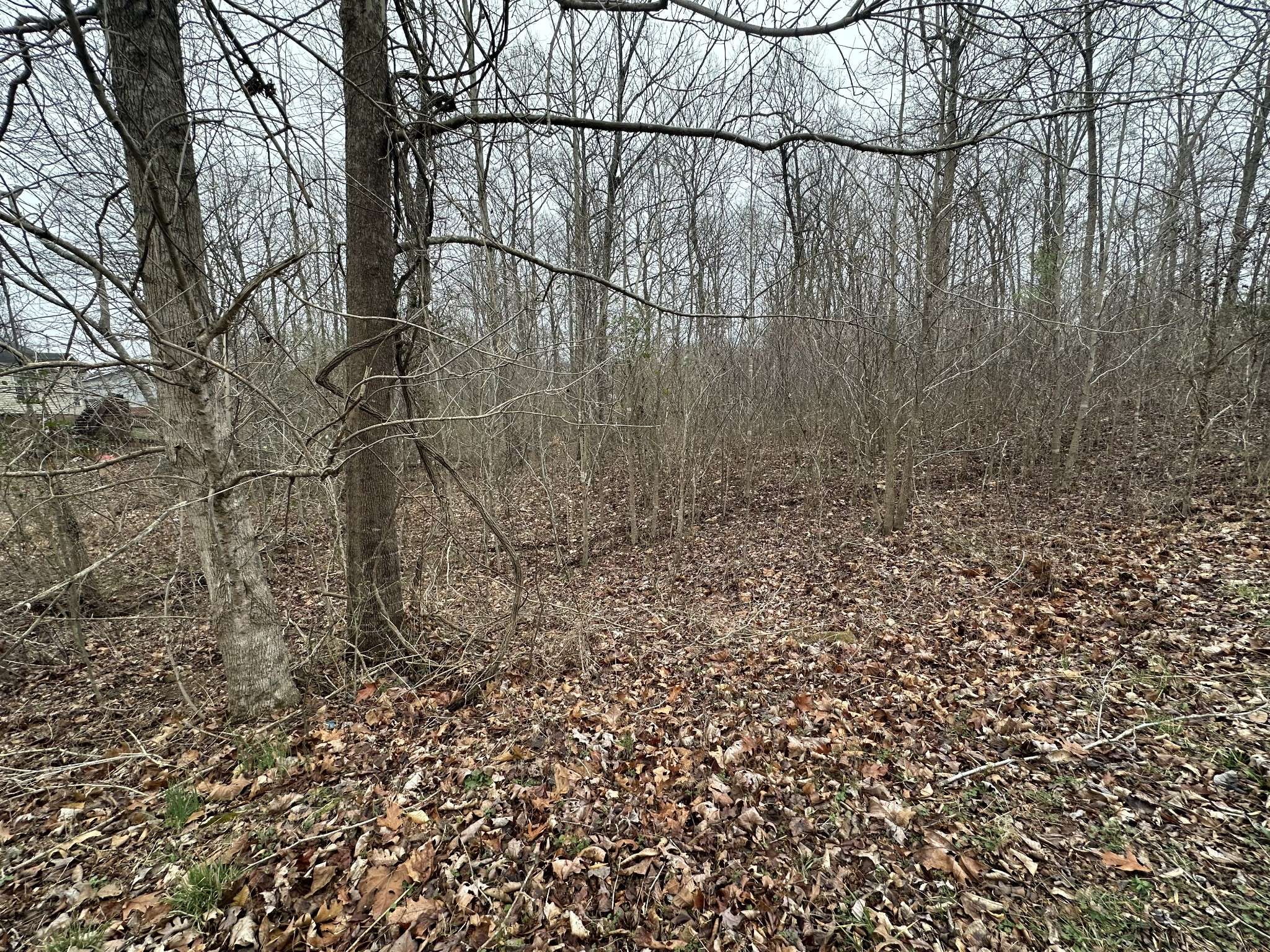 Dover, TN 37058,7 Ginger Drive