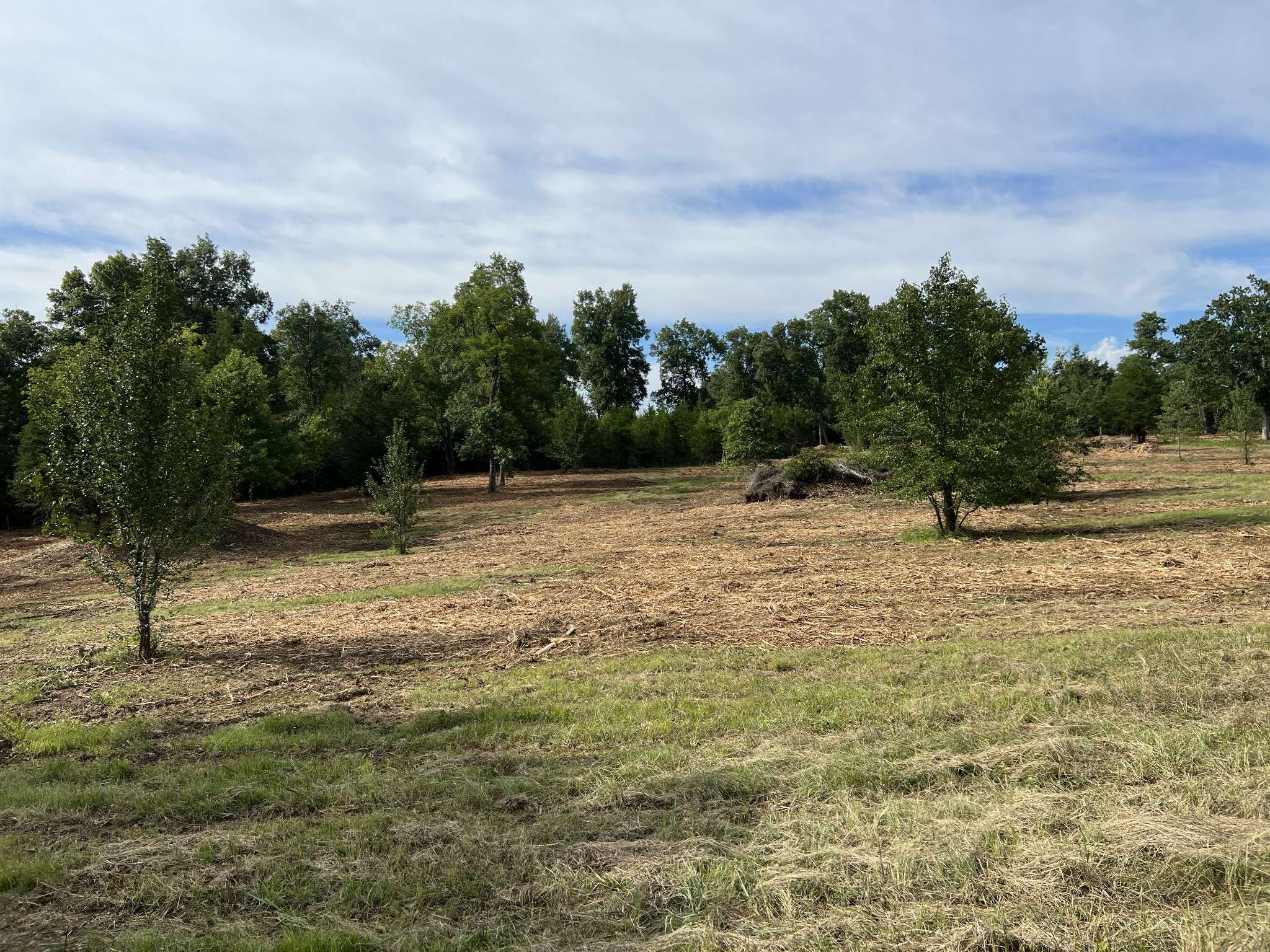 Tullahoma, TN 37388,0 Wartrace Pike