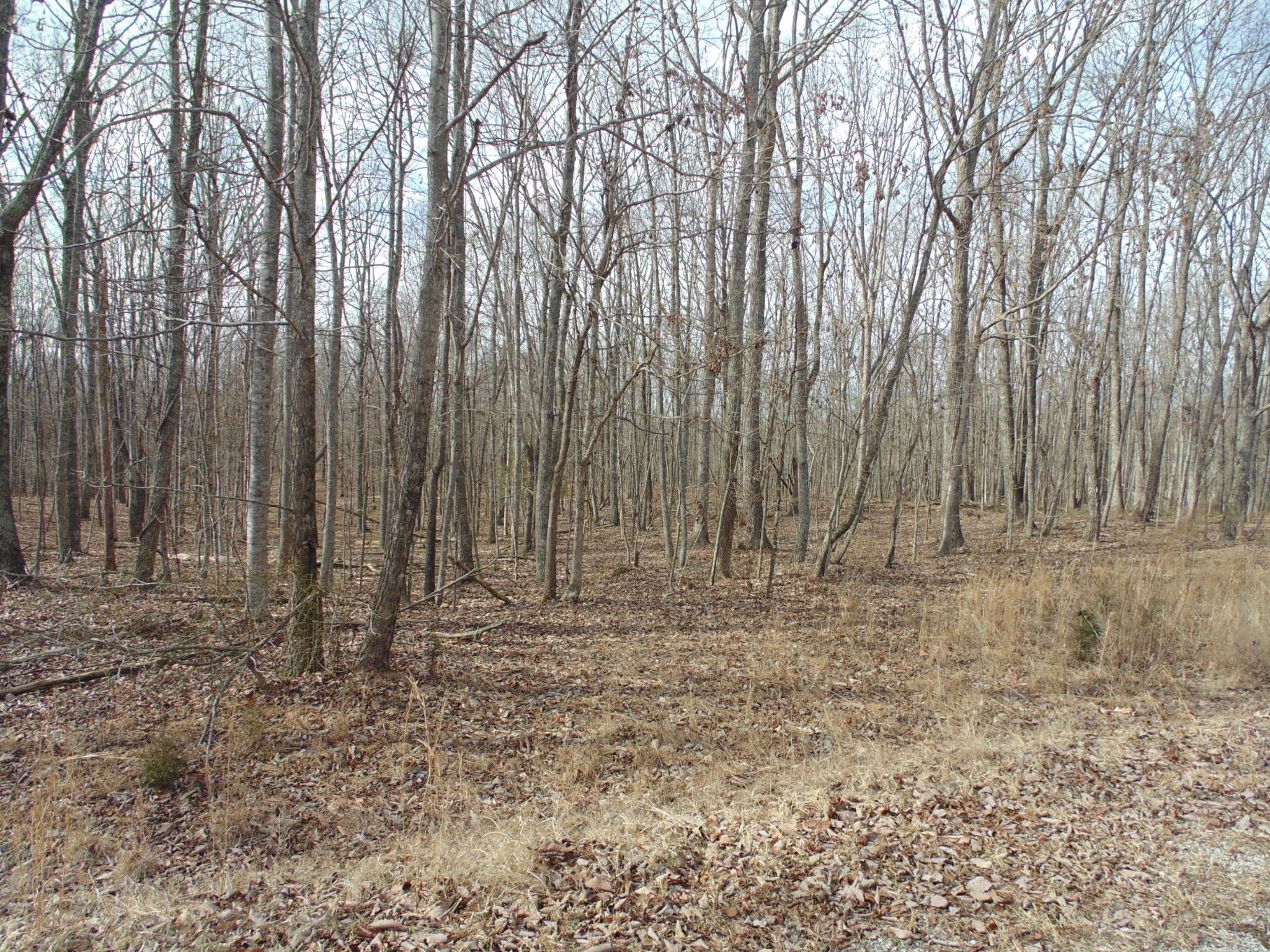 Sewanee, TN 37375,0 Nancy Wynn Rd