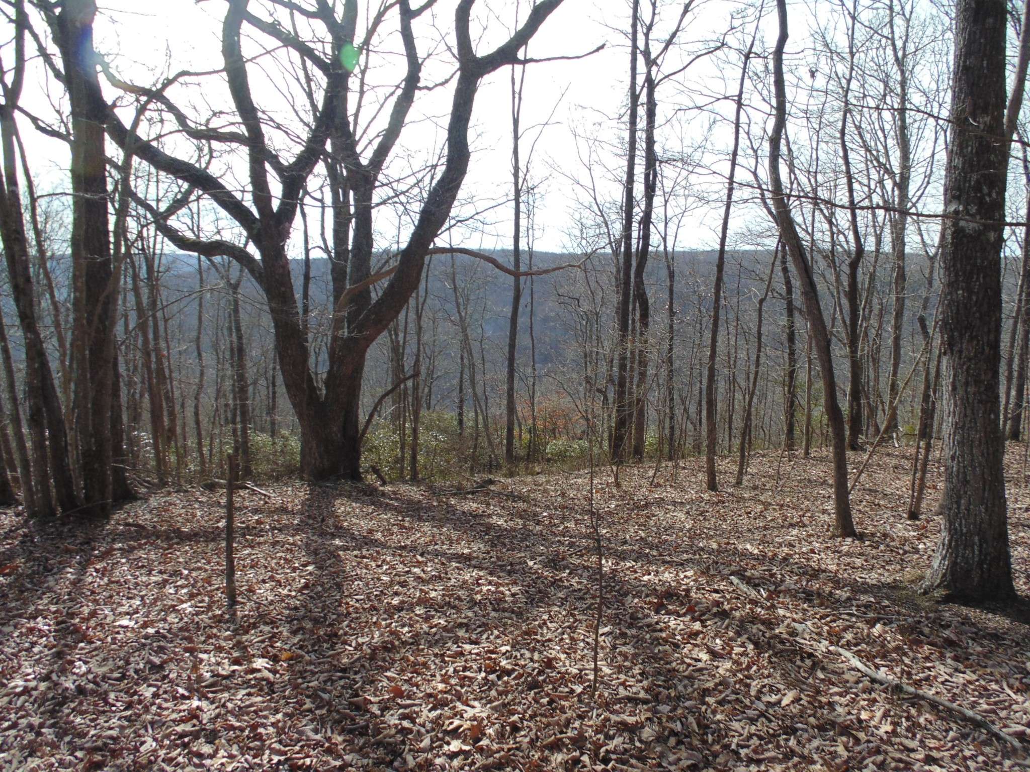 Sewanee, TN 37375,0 Nancy Wynn Rd