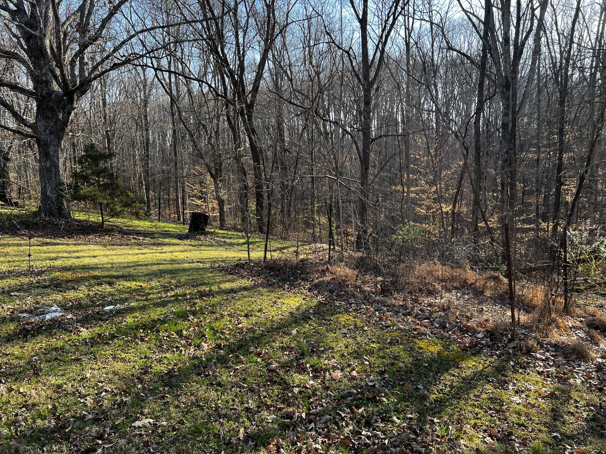 Lawrenceburg, TN 38464,1232 W Point Rd
