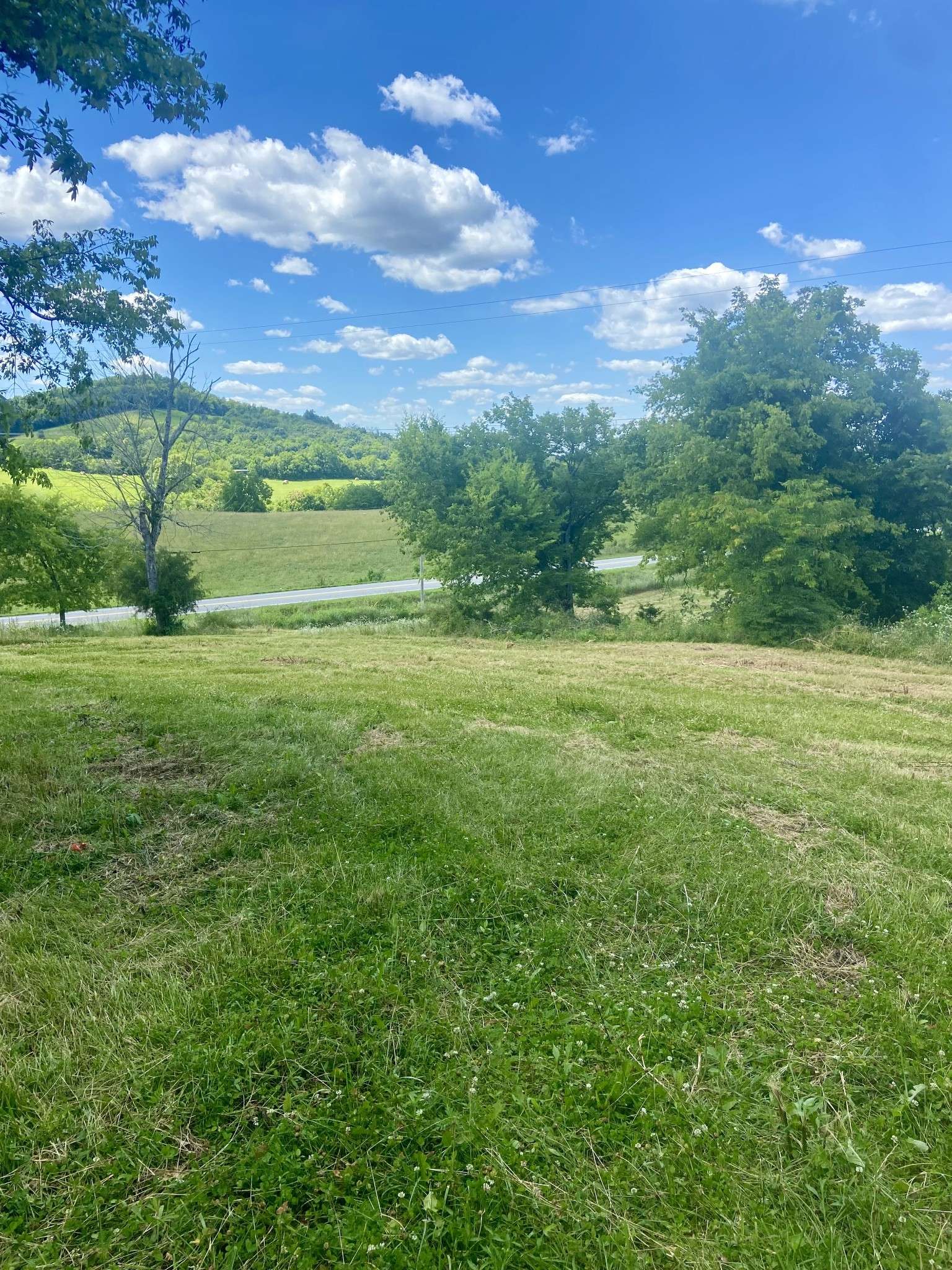 Shelbyville, TN 37160,0 McLaughlin Lane