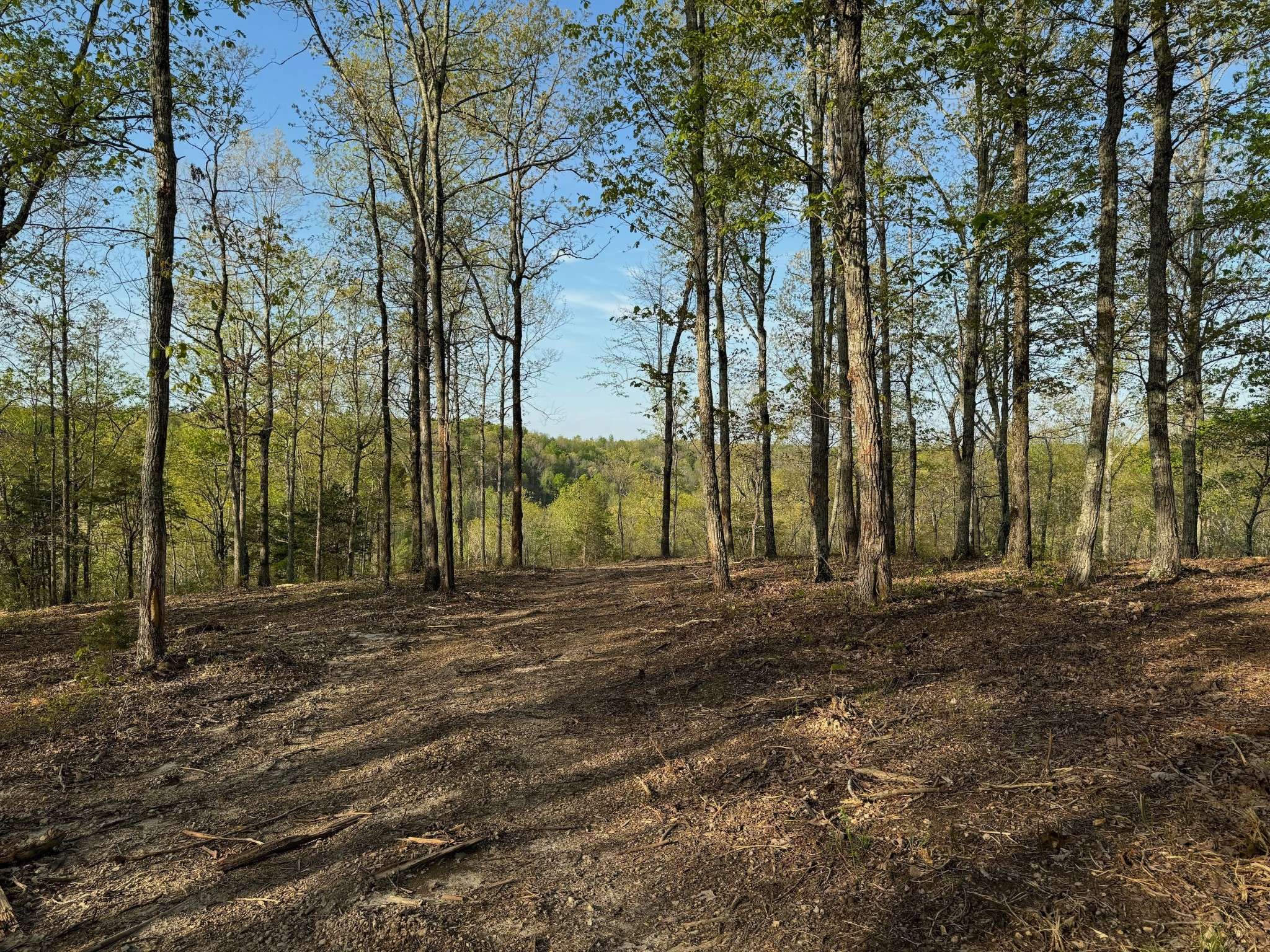 Lobelville, TN 37097,0 Roan Creek Rd