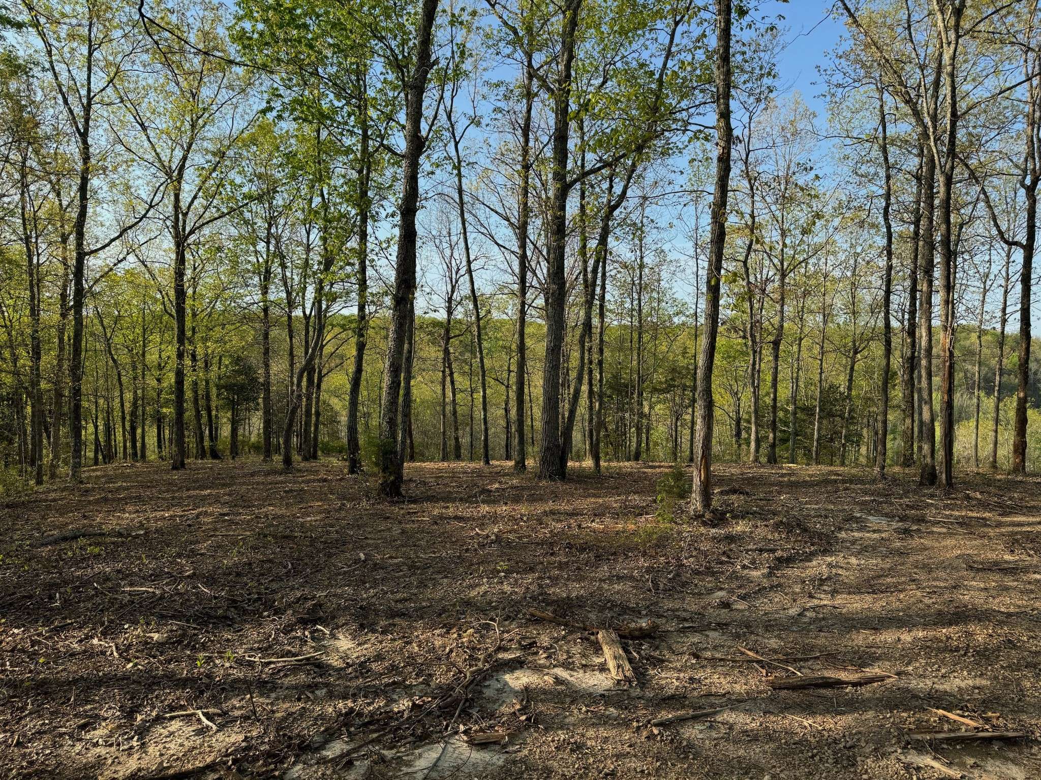 Lobelville, TN 37097,0 Roan Creek Rd