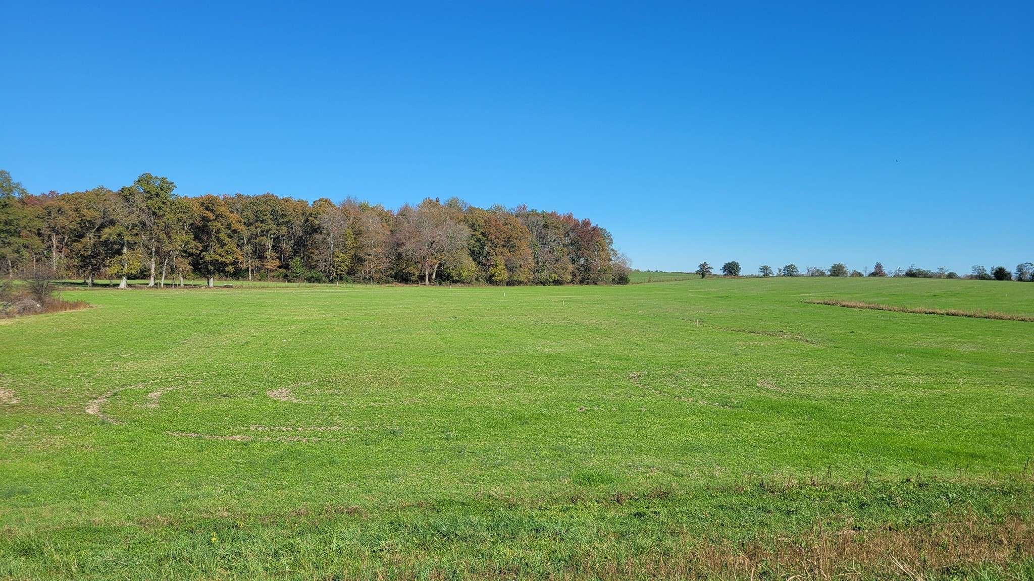 Woodbury, TN 37190,11 Ira Darby Prater Hwy