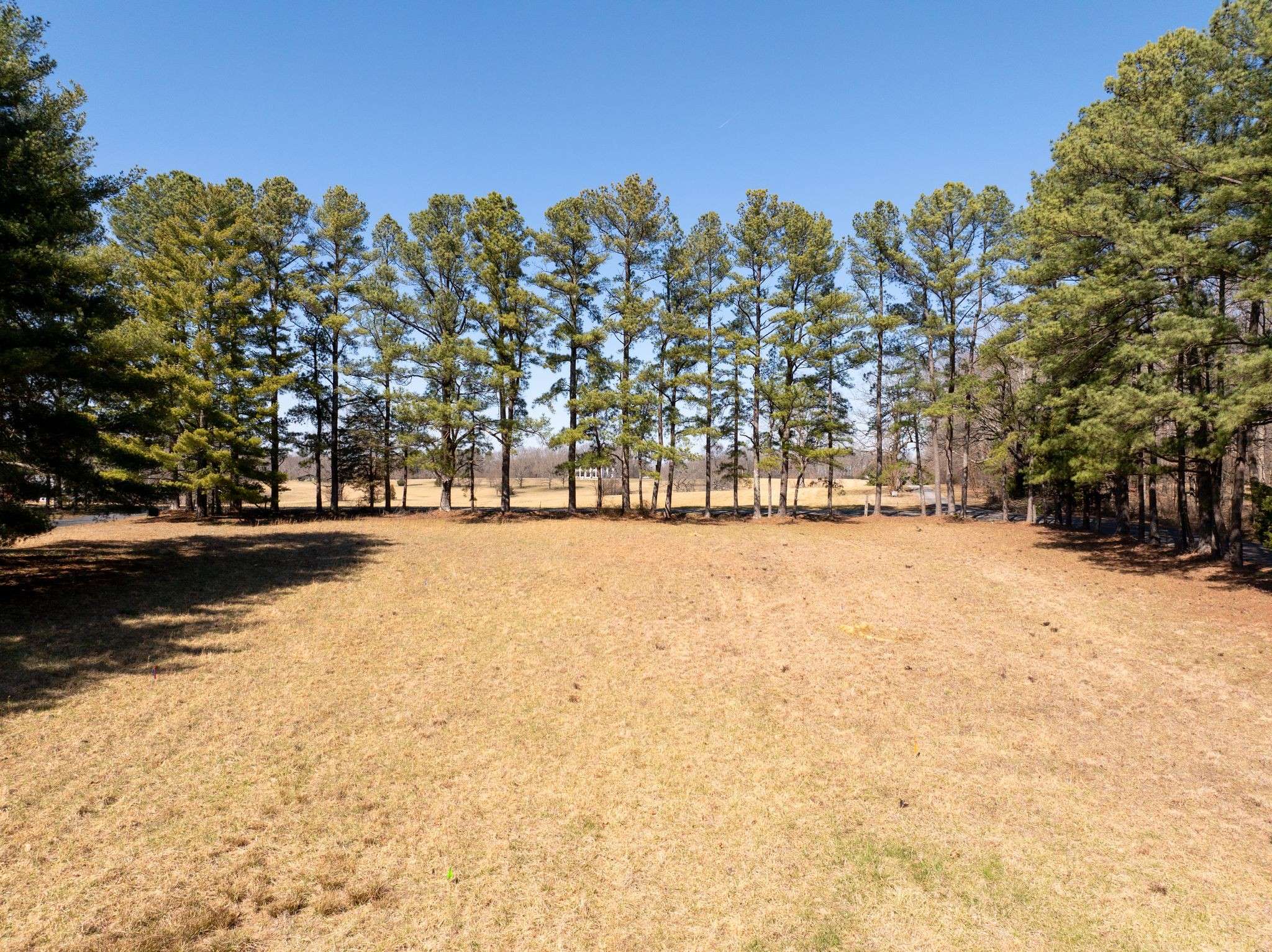 Dickson, TN 37055,2 Old Pond Lane